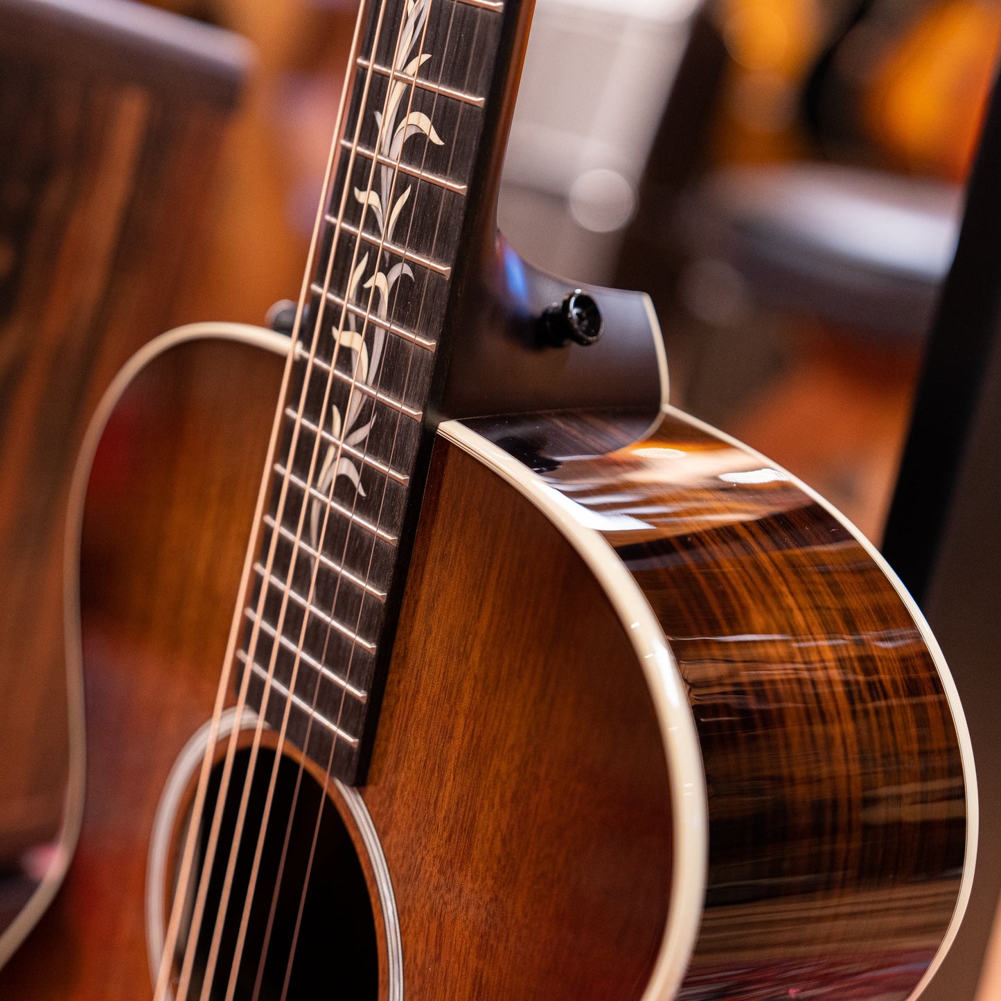 Taylor NAMM 2023 Custom #25 C22e B3025 Acoustic Electric Guitar with Circa '74 AV150-10 Combo Acoustic Guitar Amplifier