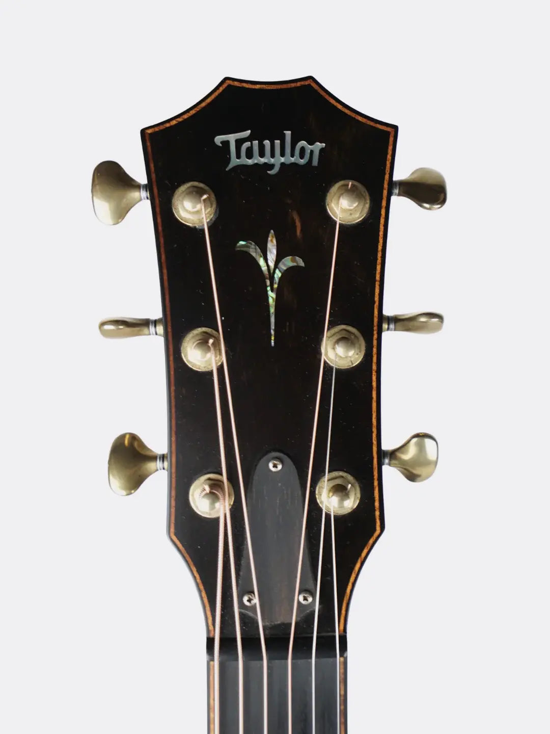 Taylor K14ce Builder's Edition - USA 2018