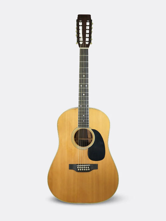 Vintage Martin D12 35 - USA 1972