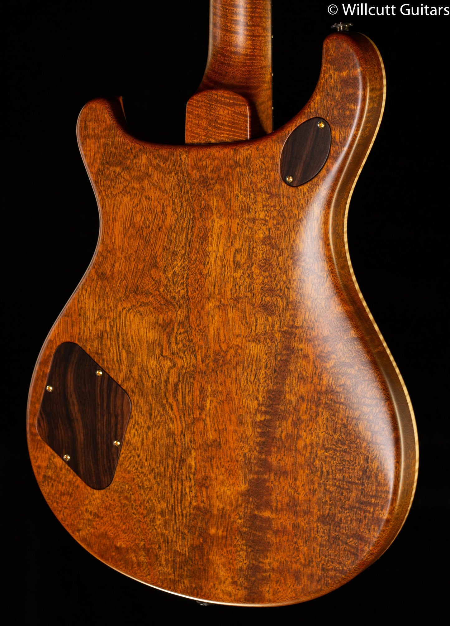 PRS Private Stock 7731 McCarty 594 Semi Hollow "Birds of a Feather"