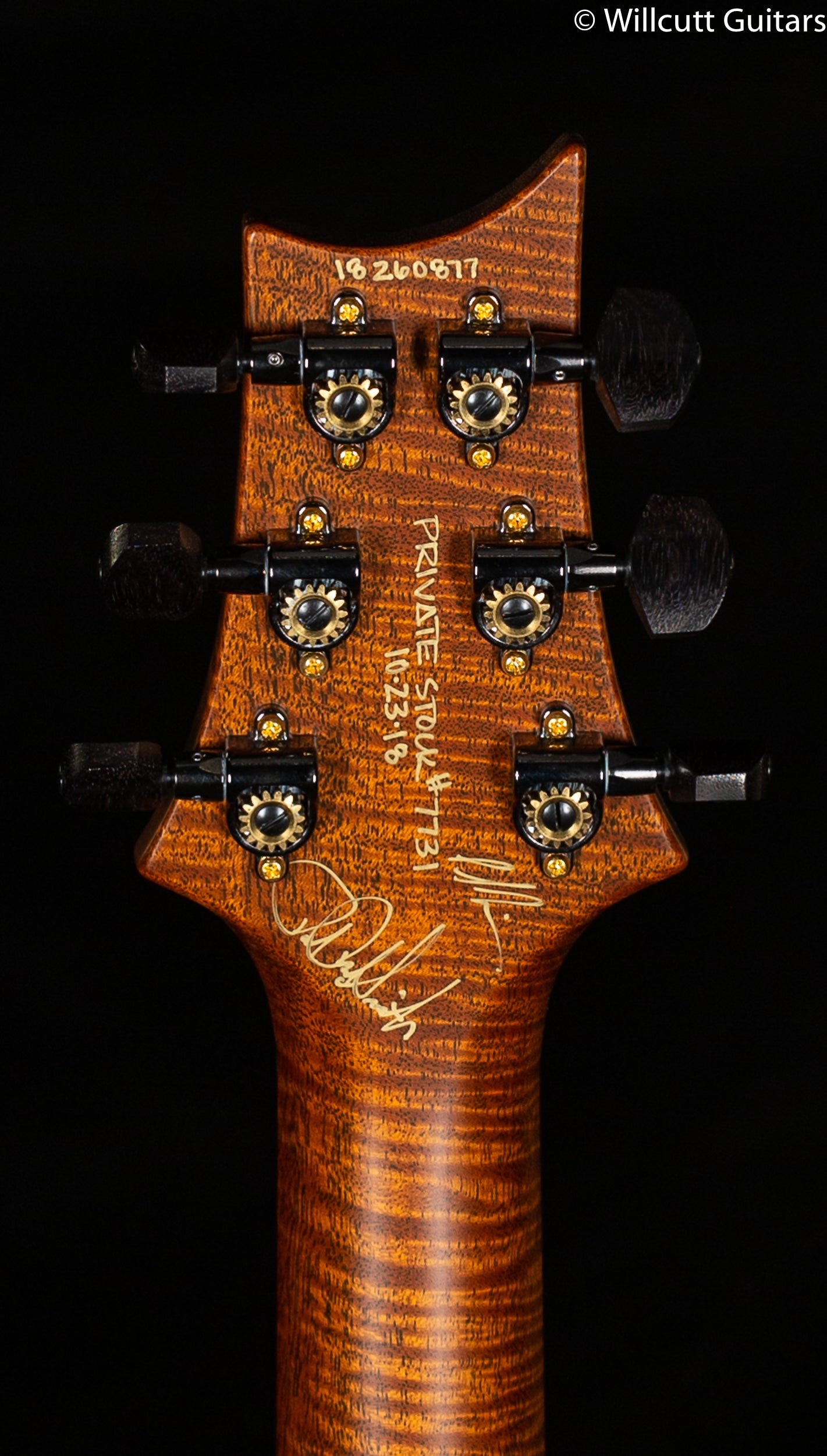 PRS Private Stock 7731 McCarty 594 Semi Hollow "Birds of a Feather"