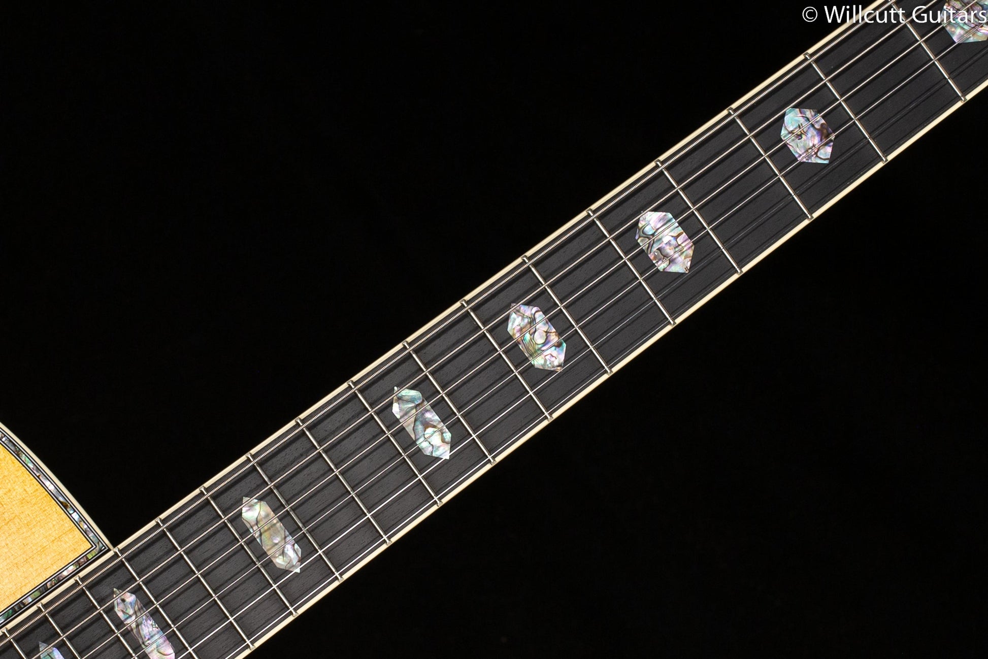 Martin D-45 (489)