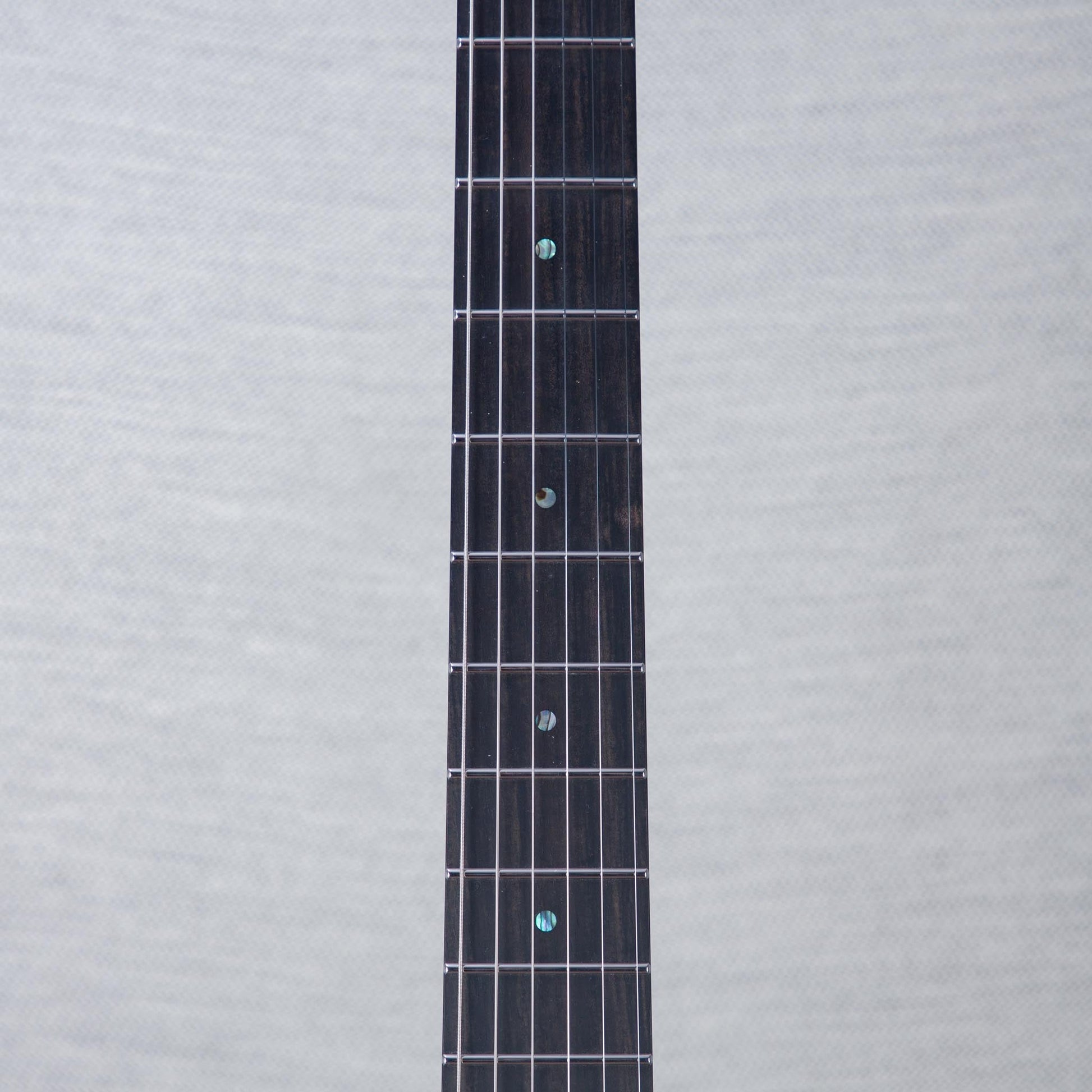 ESP USA M-II FR Electric Guitar - Adamantium - #US24766