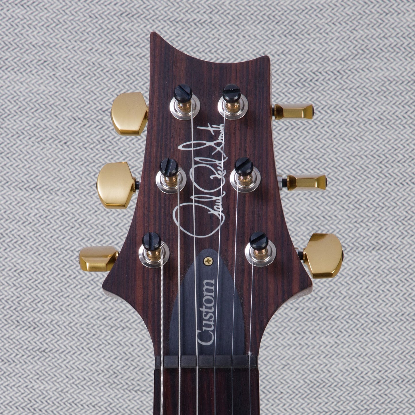 PRS Custom 24 Piezo 10 Top Electric Guitar - Eriza Verde - #220354674