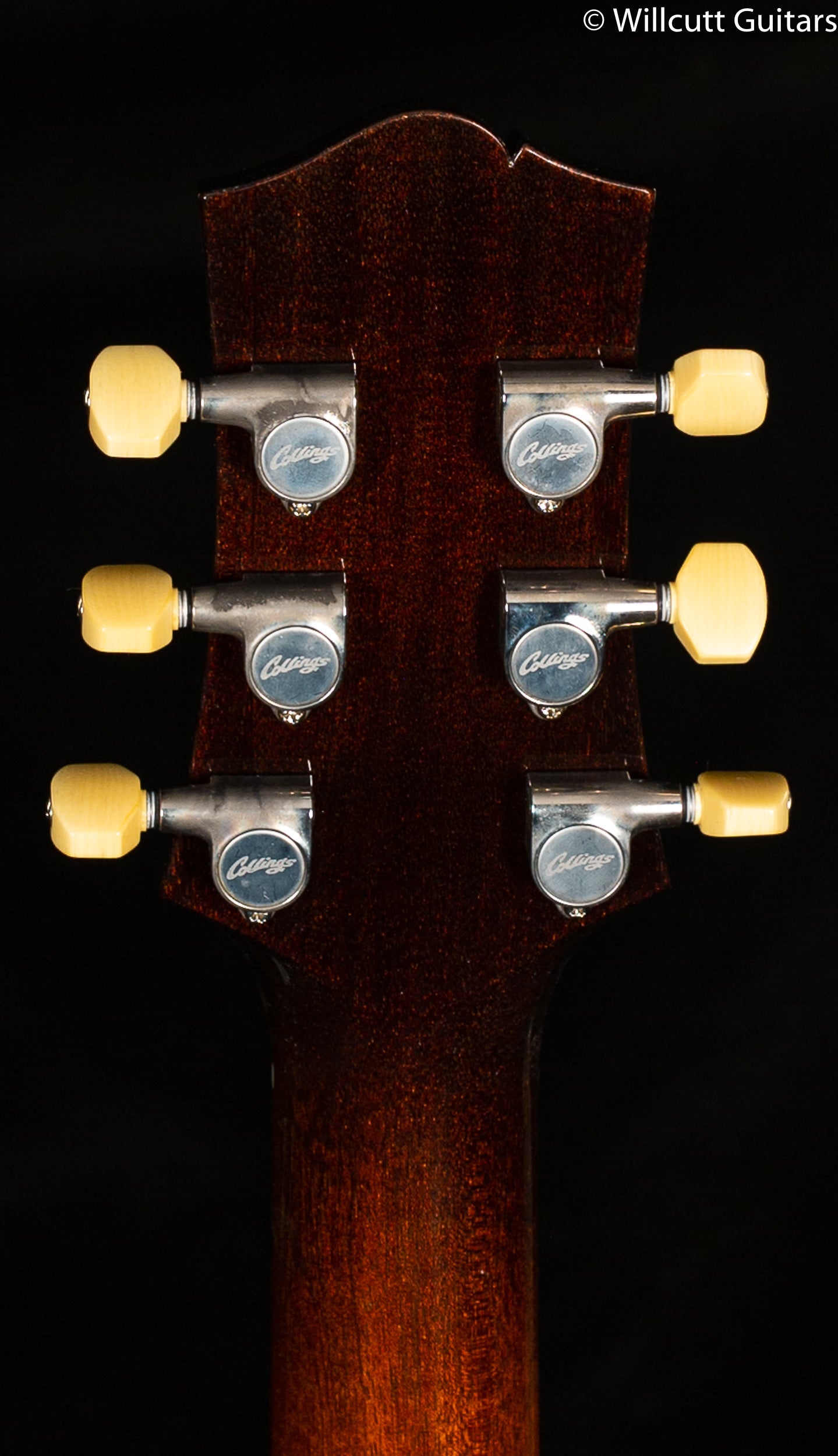 Collings 290 Tobacco Sunburst Aged Finished Throbak (729)