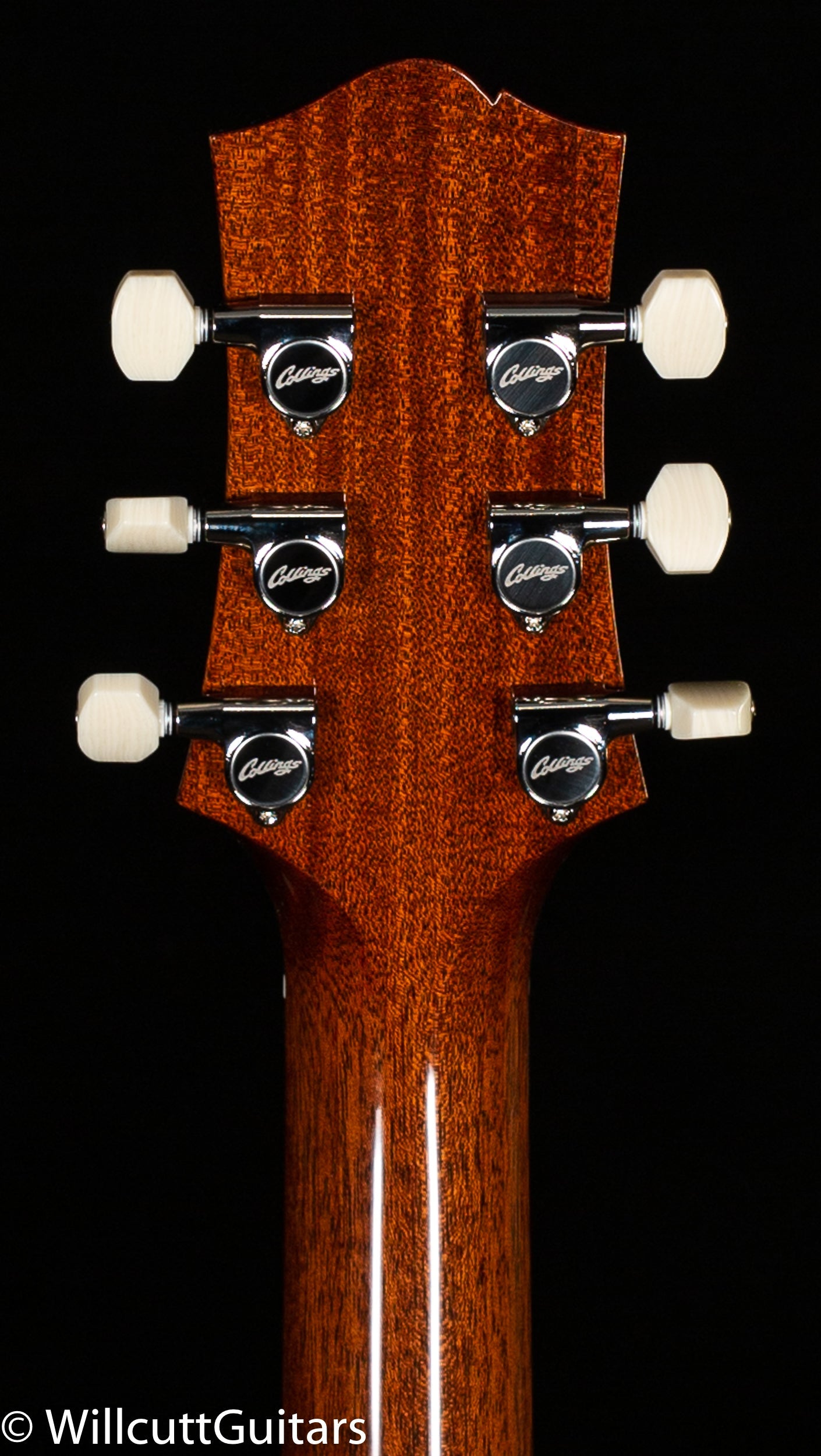Collings 290 Walnut Gold Foil Pickups (761)