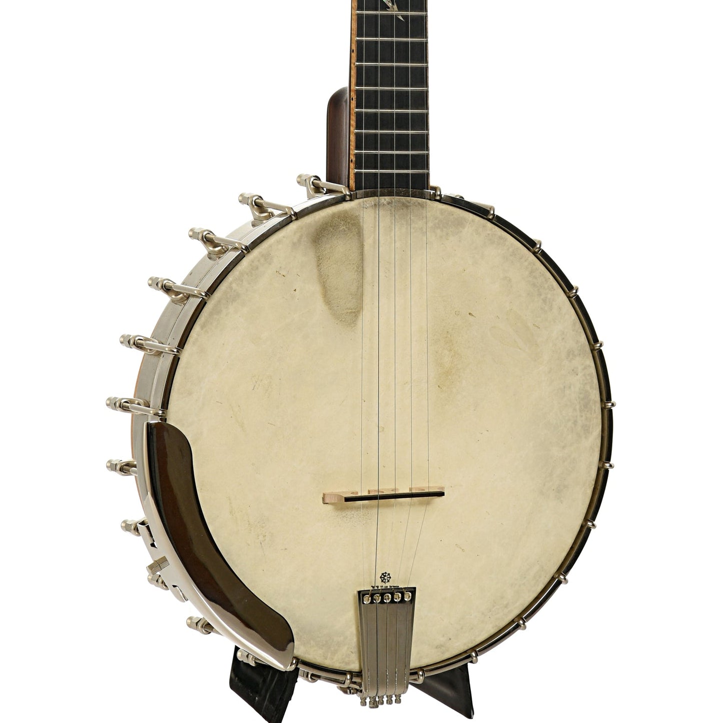 Wildwood Brazilian Custom Dragon Open Back Banjo (2004)