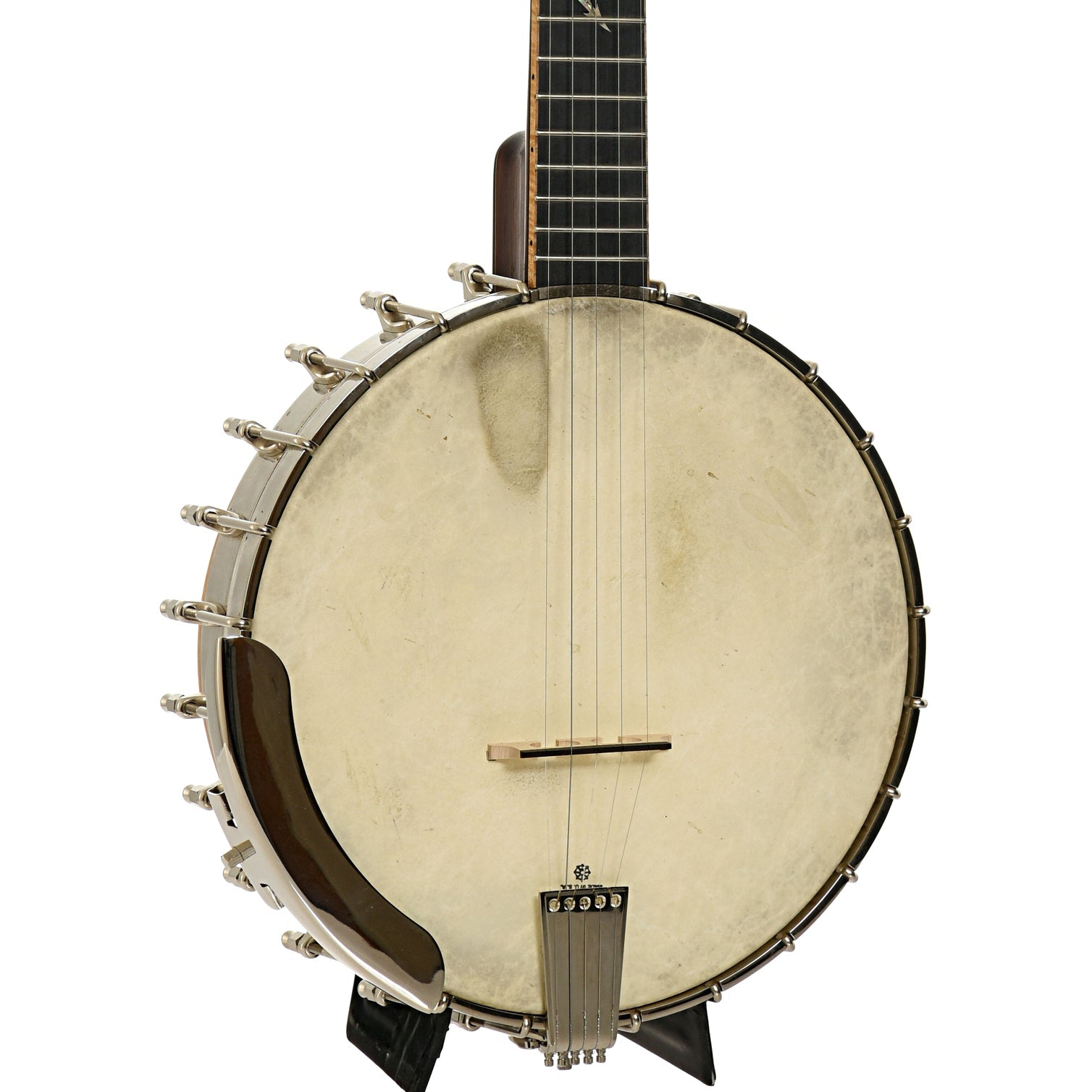 Wildwood Brazilian Custom Dragon Open Back Banjo (2004)