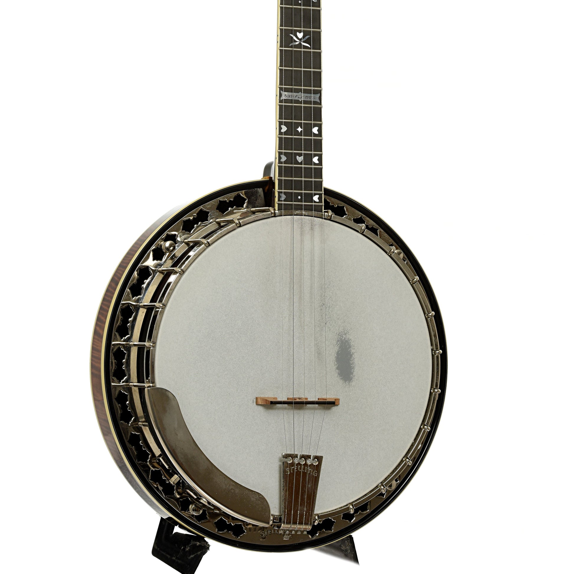 Stelling Sunflower Resonator Banjo (2012)