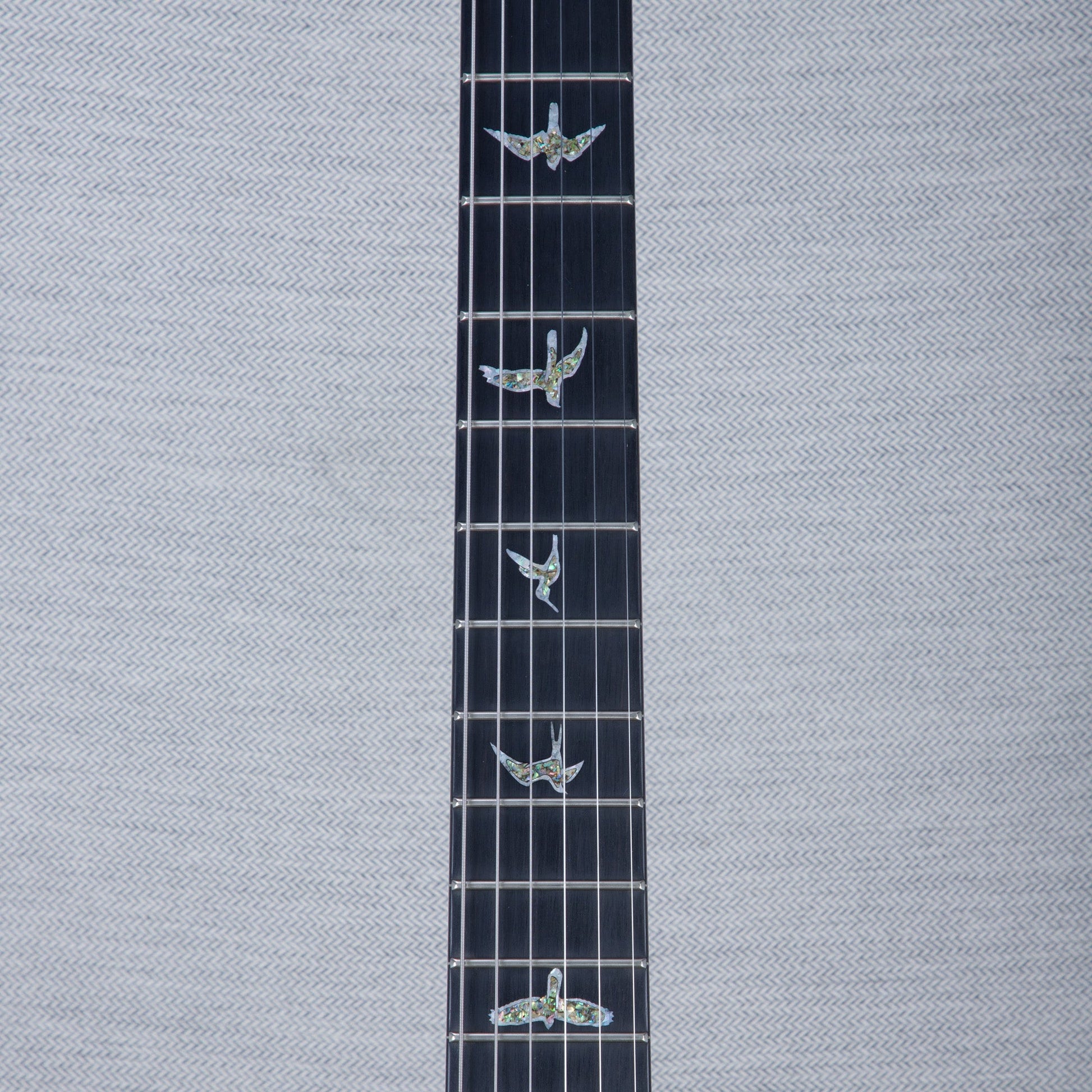 PRS Wood Library Custom 24 Electric Guitar - Private Stock Frostbite Finish - CHUCKSCLUSIVE - #240383982