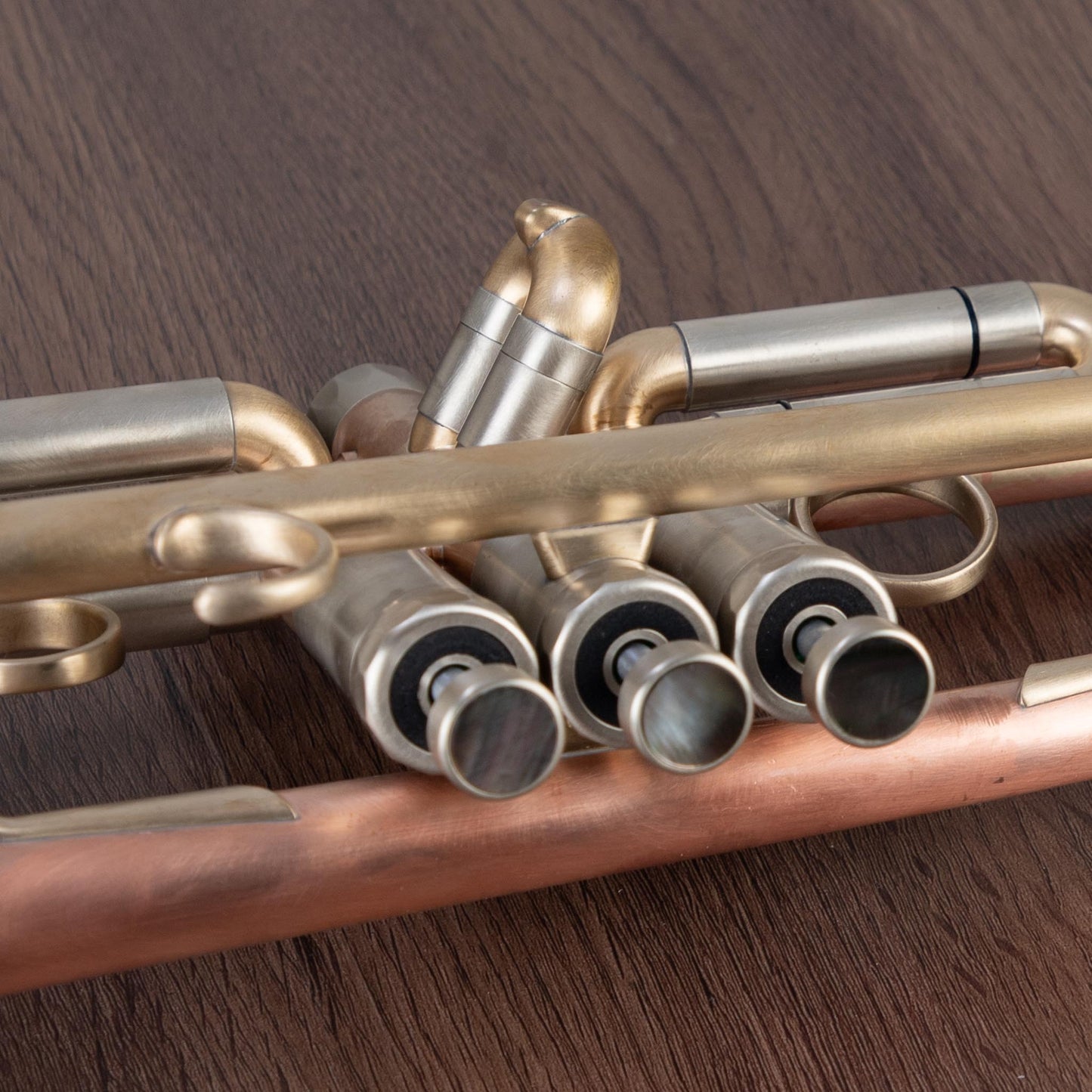 Lotus Solo Bb Trumpet