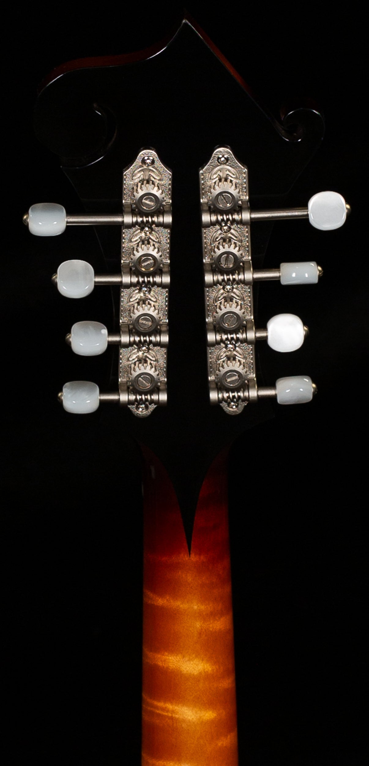 Gibson Mandolin F-5G Dark Burst NH (012)