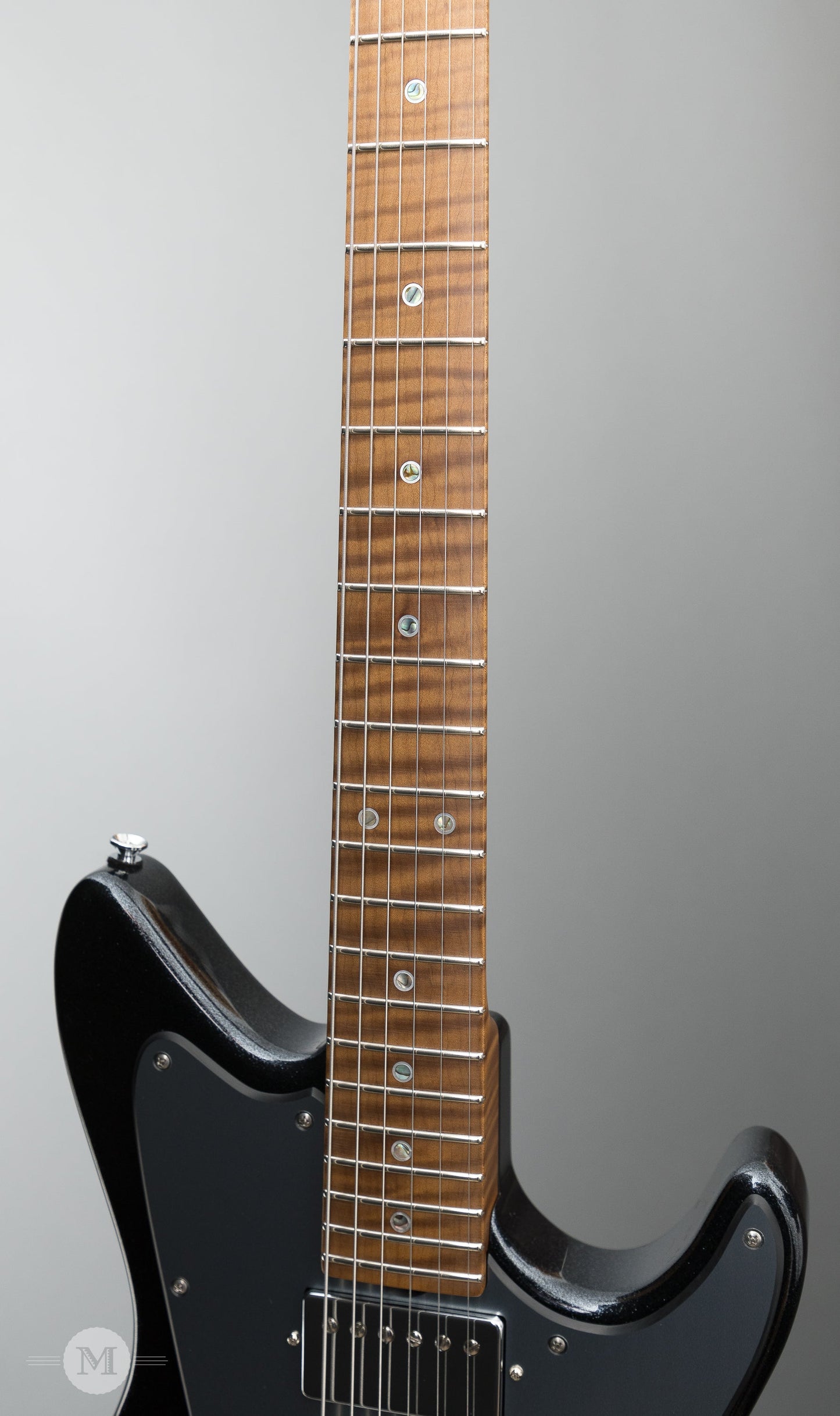 Don Grosh Electric Guitars - ElectraJet Custom - Black Mini Sparkle - 30th Anniversary