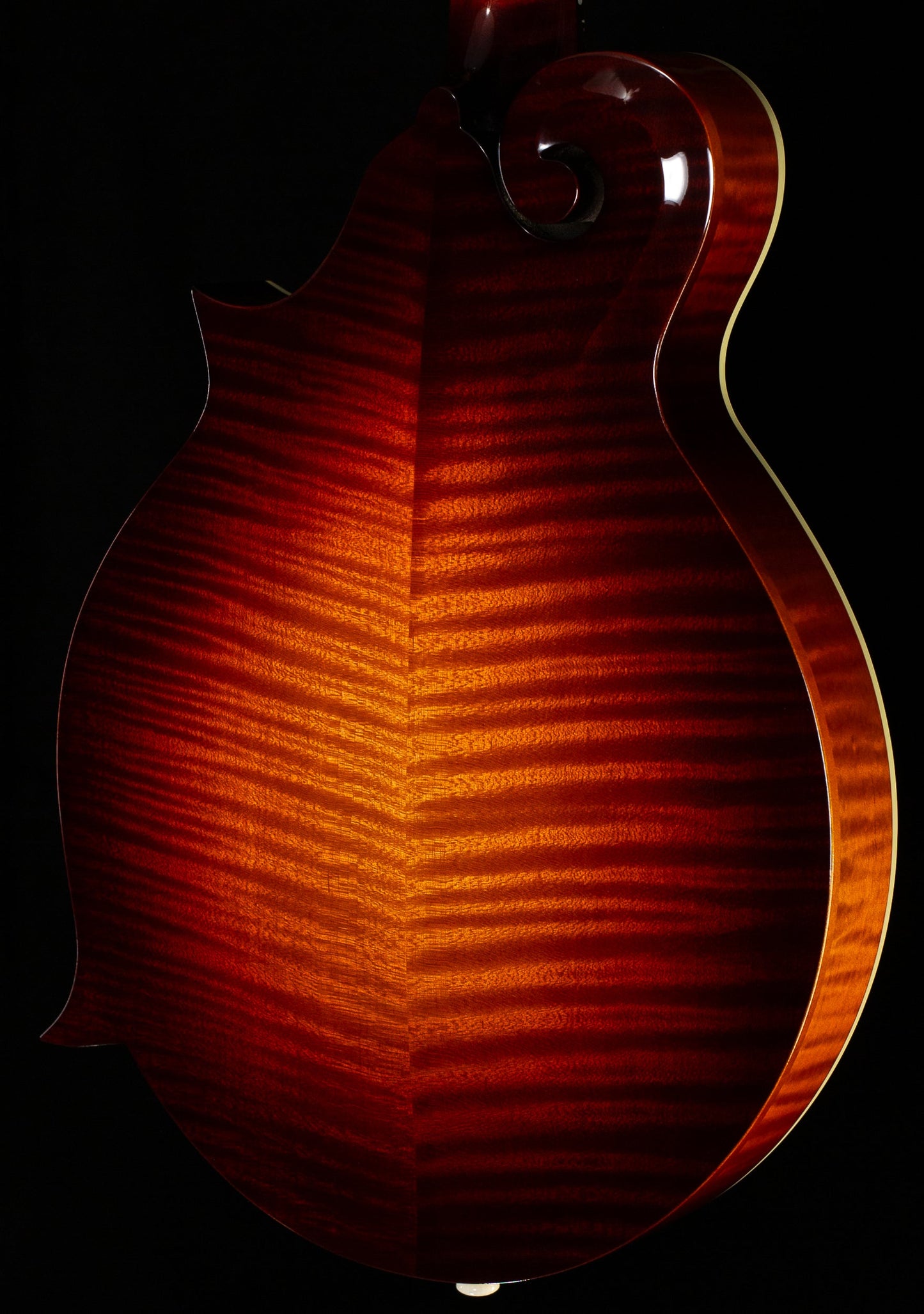 Gibson F-5G Mandolin Dark Burst (0012)