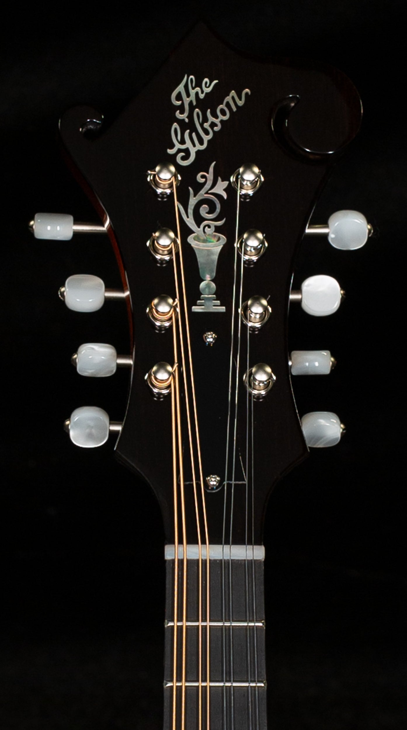 Gibson F-5G Mandolin Dark Burst (0012)