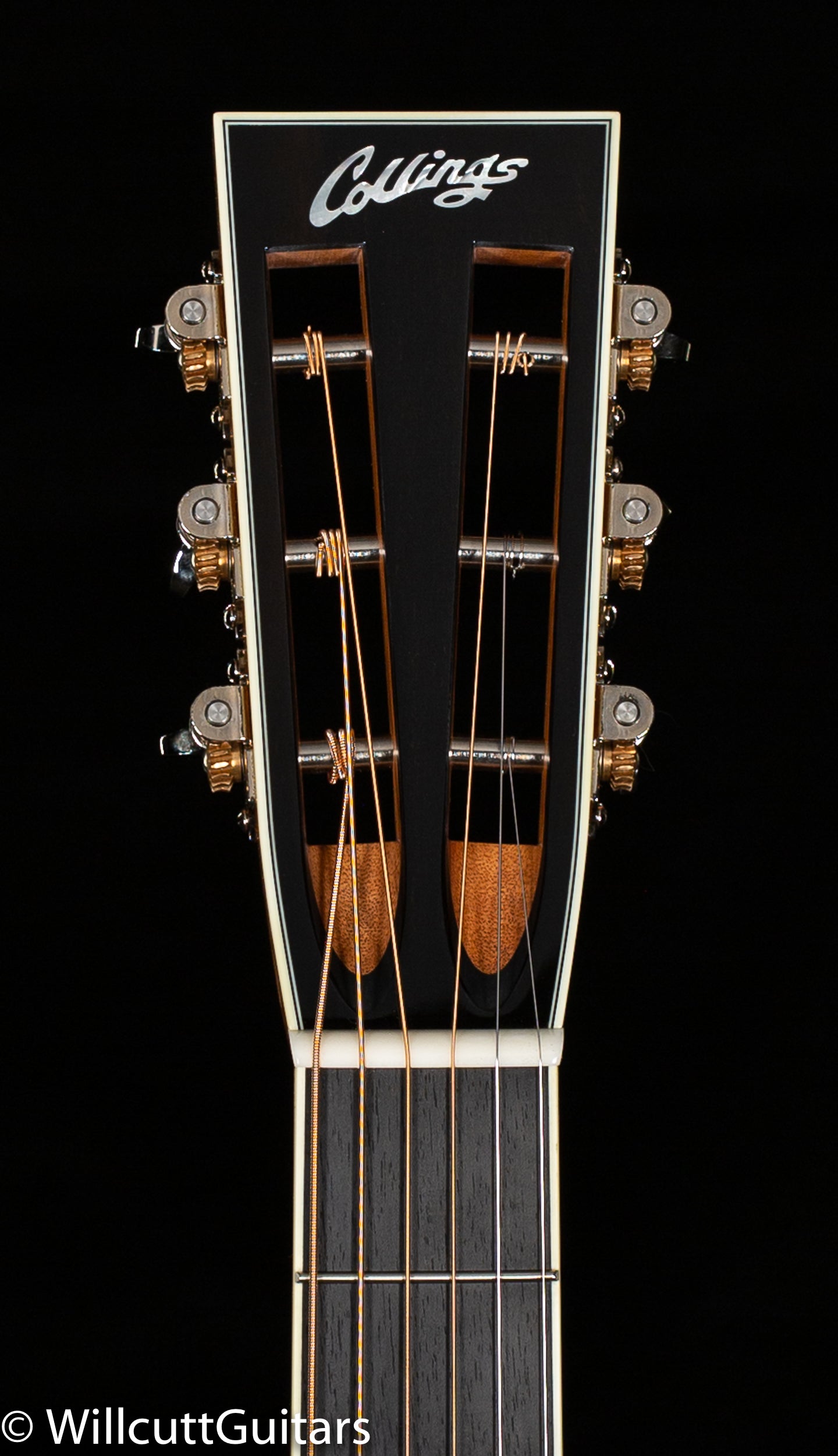 Collings 0003 Blue Spruce BearClaw