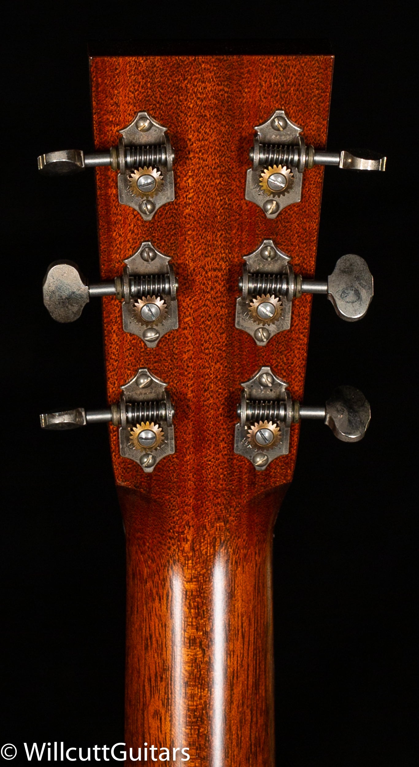 Collings D1A T Adirondack Spruce Traditional (679)