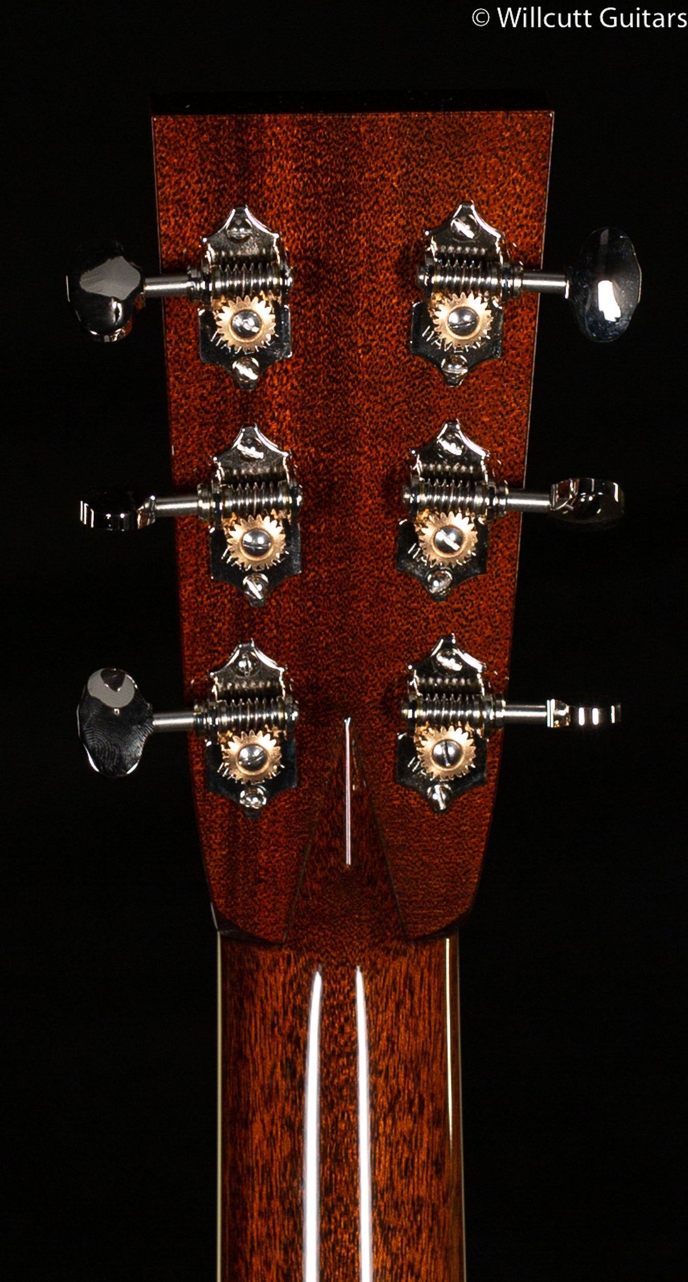 Collings CW Indian Torrefied Adirondack Spruce Top (843)