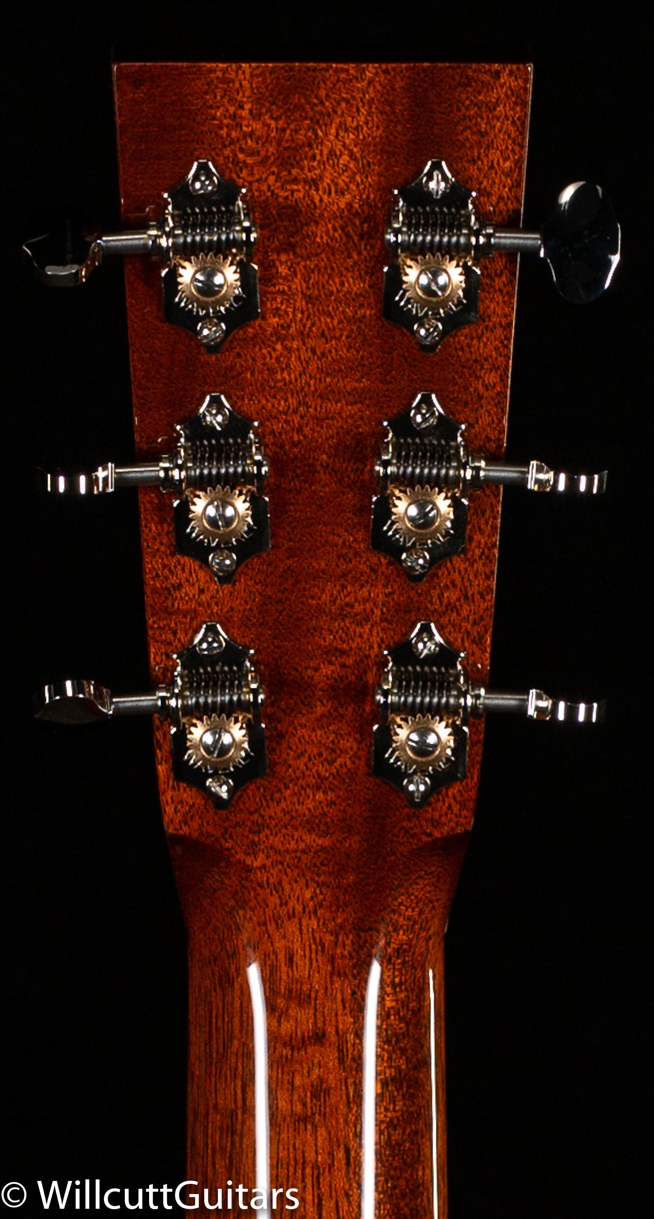 Collings D1A T Adirondack Spruce Top Traditional Package (199)