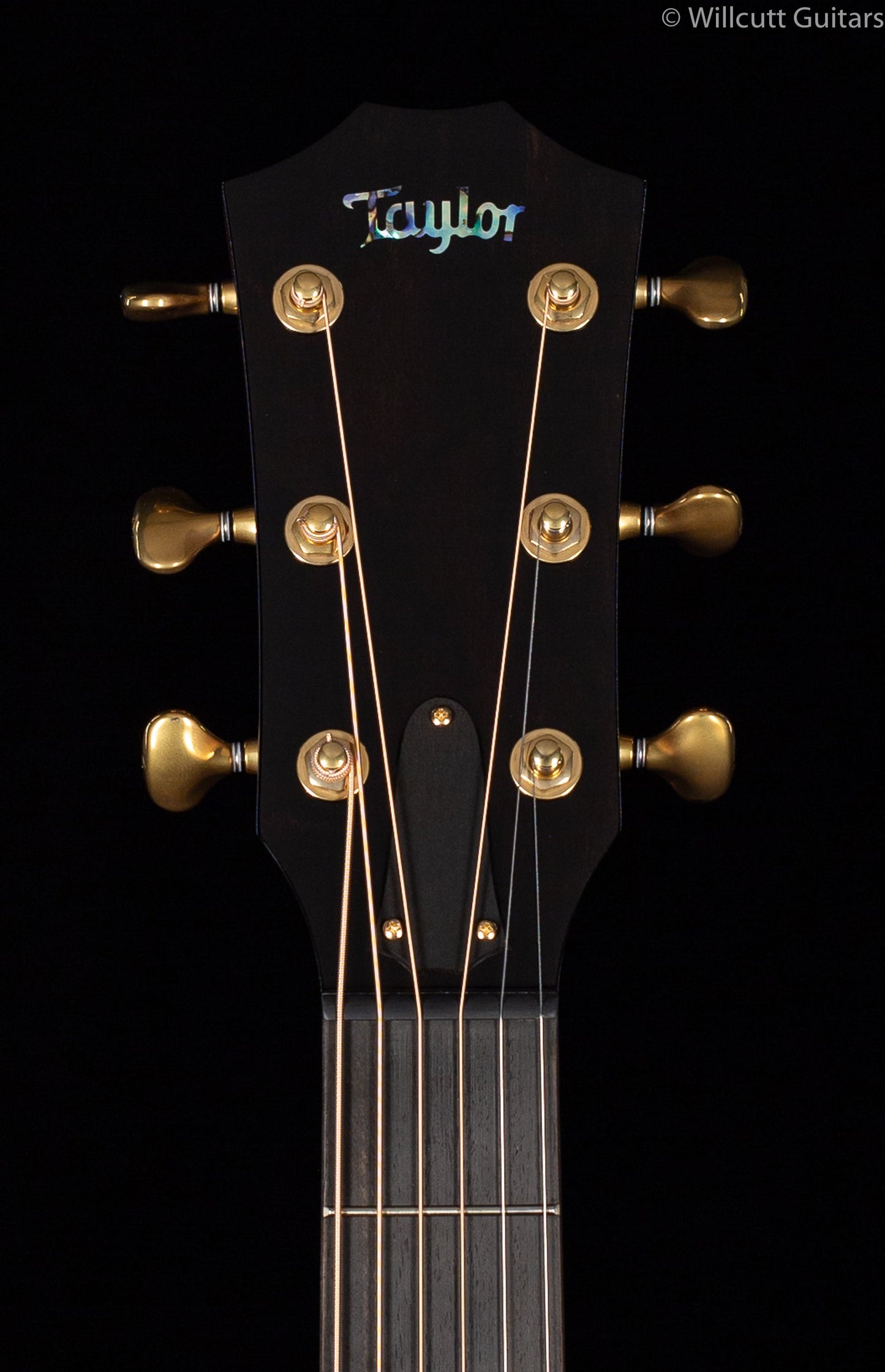 Taylor Custom  K24ce AA Top, V-Class