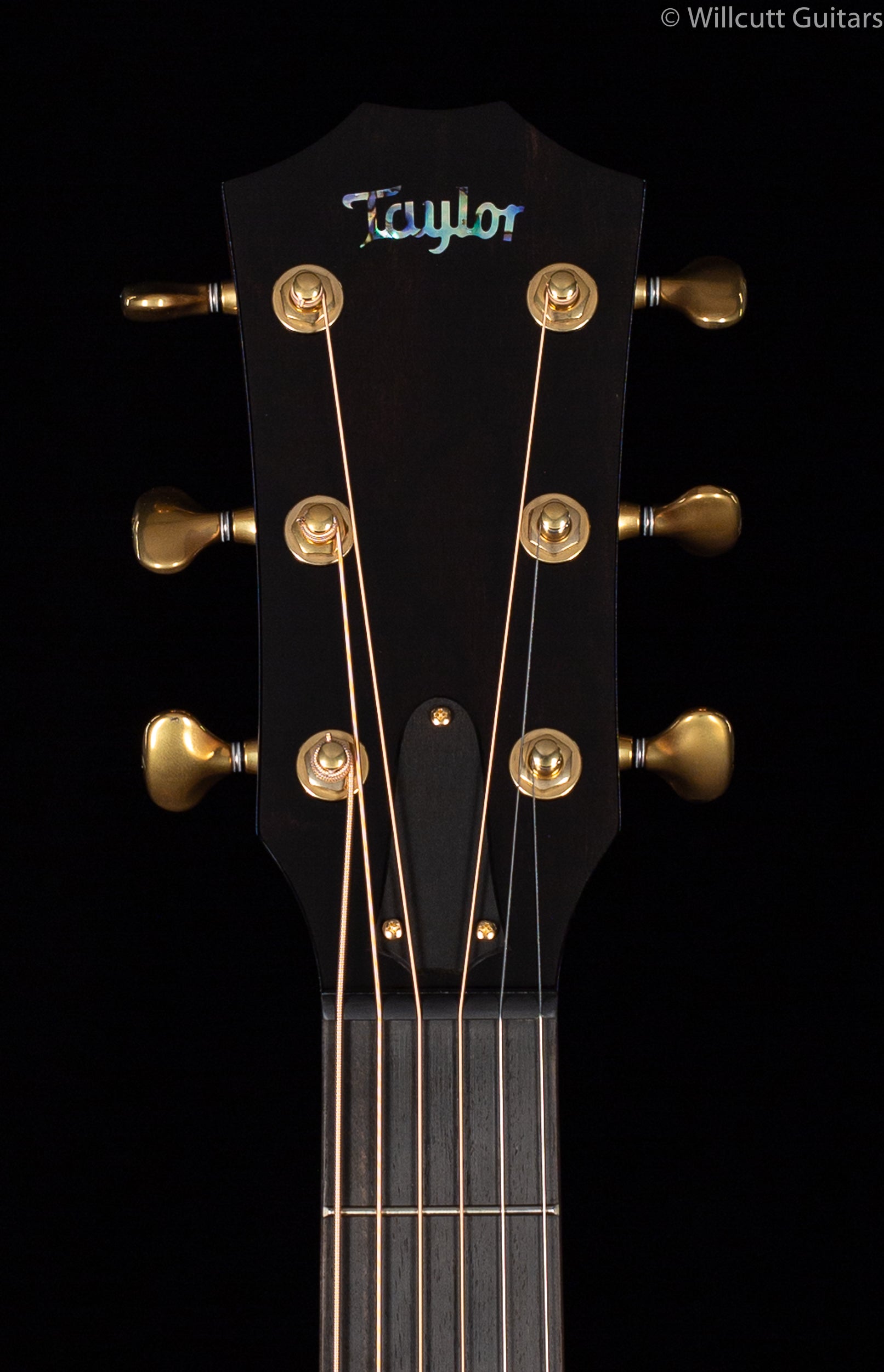 Taylor Custom  K24ce AA Top, V-Class
