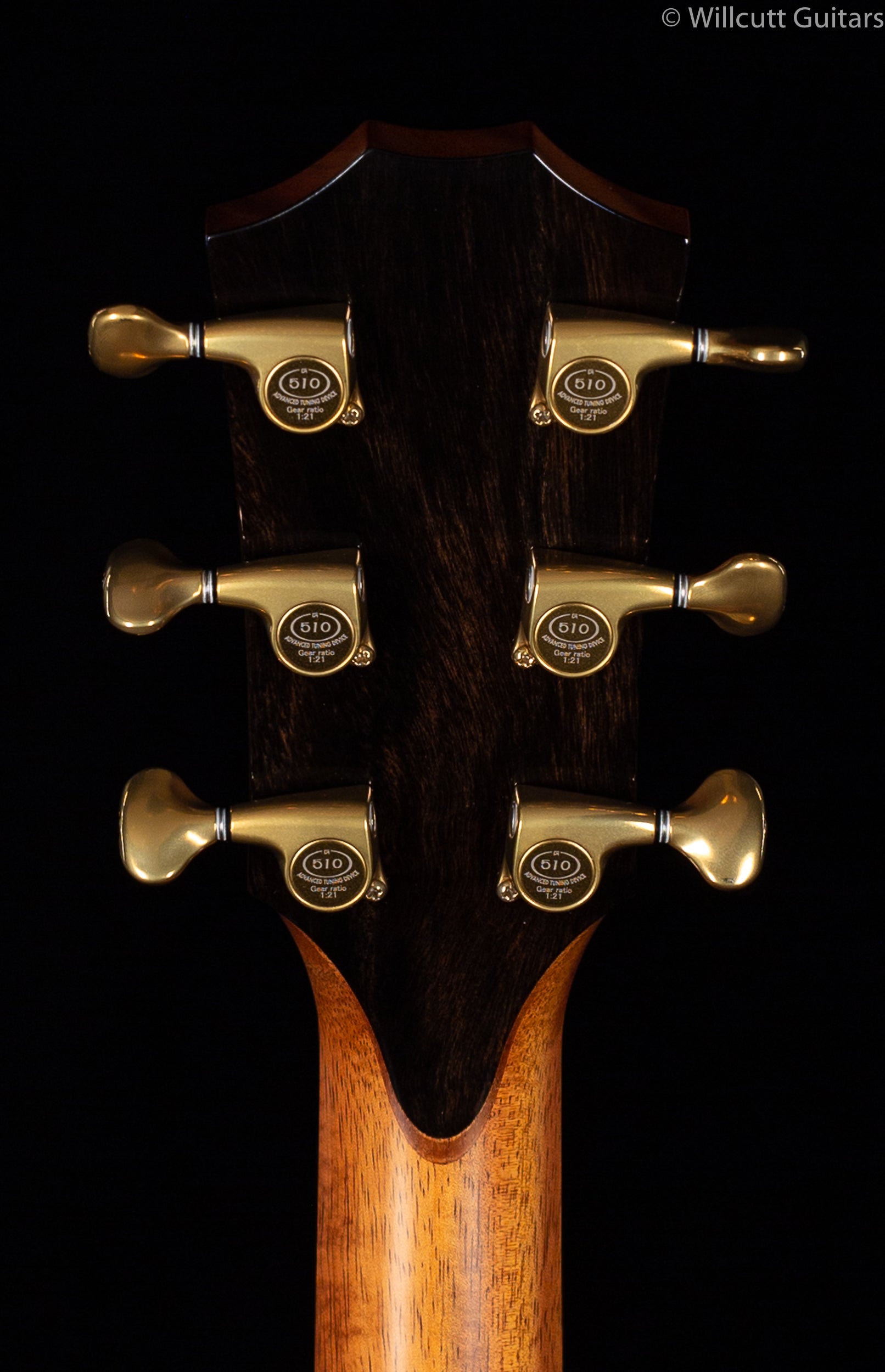 Taylor Custom  K24ce AA Top, V-Class
