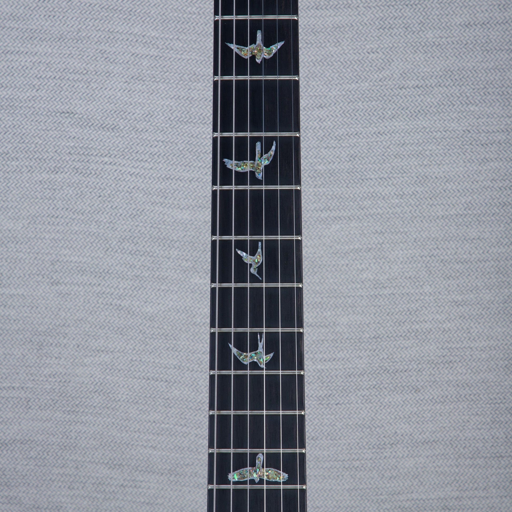 PRS Wood Library Custom 24 Electric Guitar - Private Stock Frostbite Finish - CHUCKSCLUSIVE - #240383976