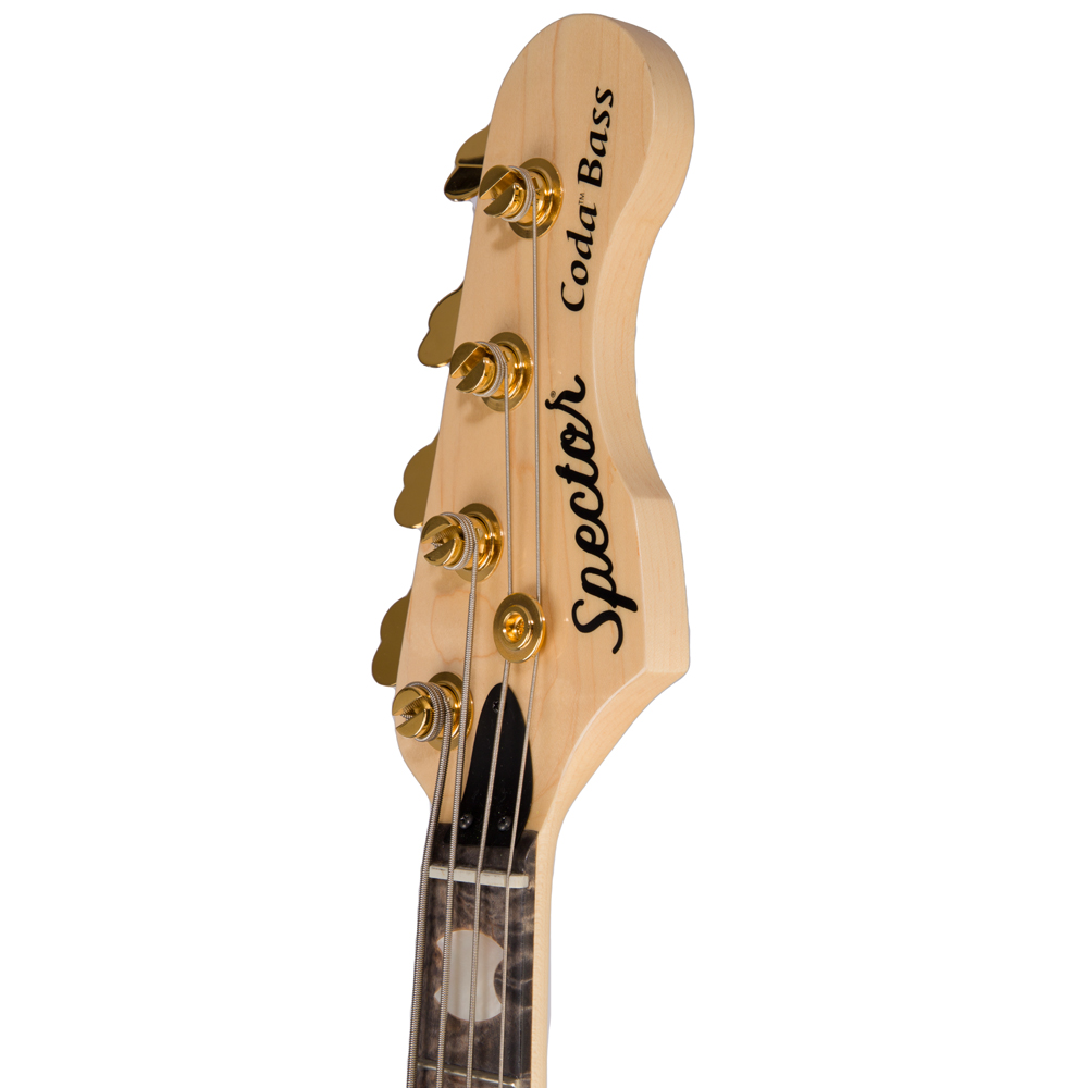 Spector USA Custom Coda4 Deluxe Bass Guitar - Desert Island Gloss - CHUCKSCLUSIVE - #154