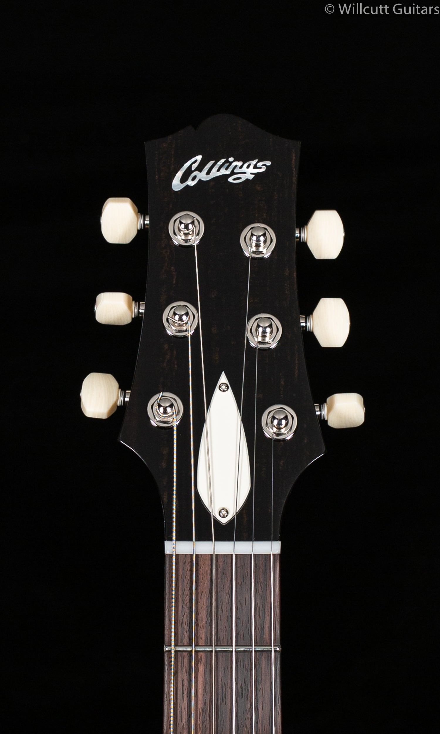 Collings 360 LT M Electric Guitar Doghair