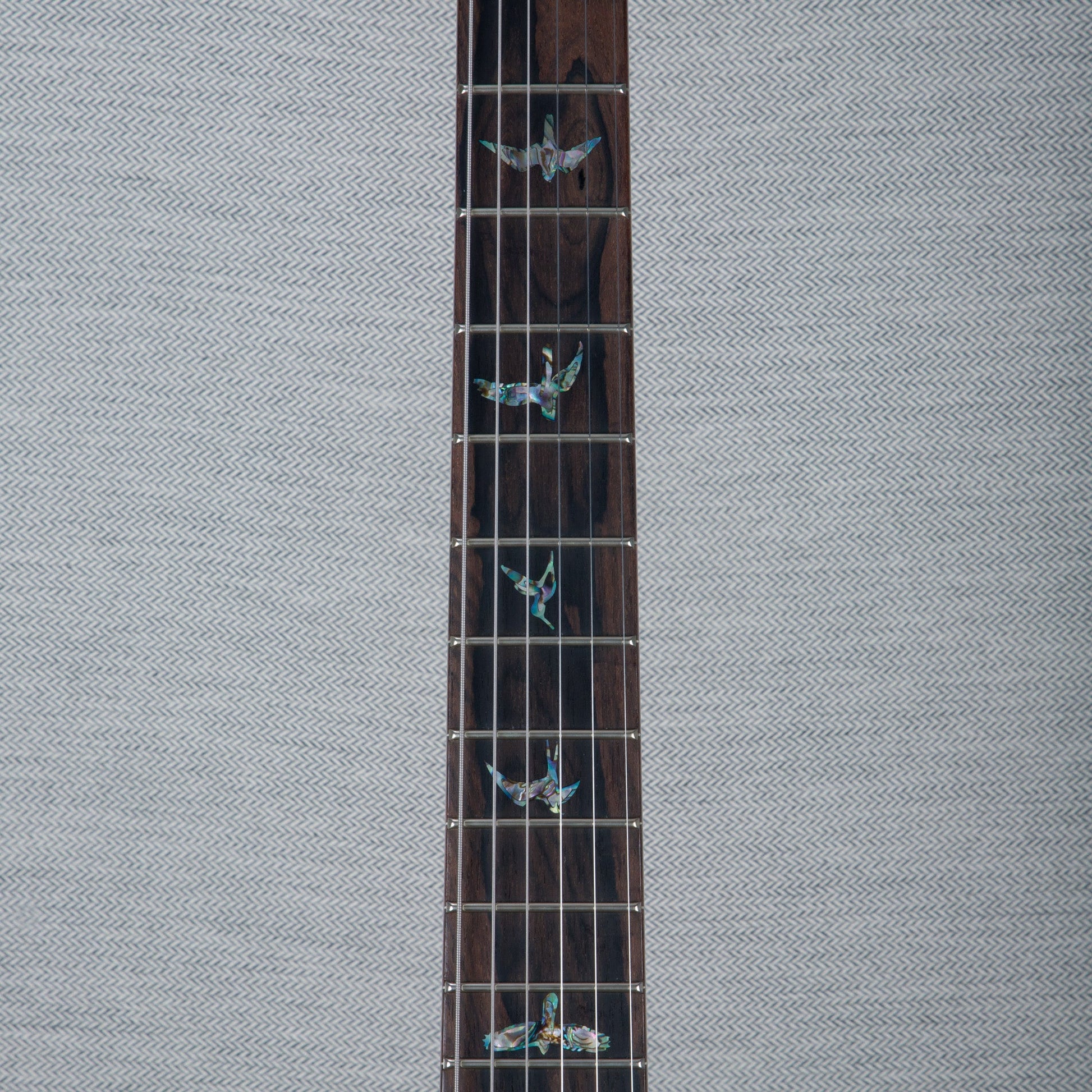 PRS Wood Library DGT Electric Guitar - Private Stock Salmon Finish - CHUCKSCLUSIVE - #240385596 - 2024