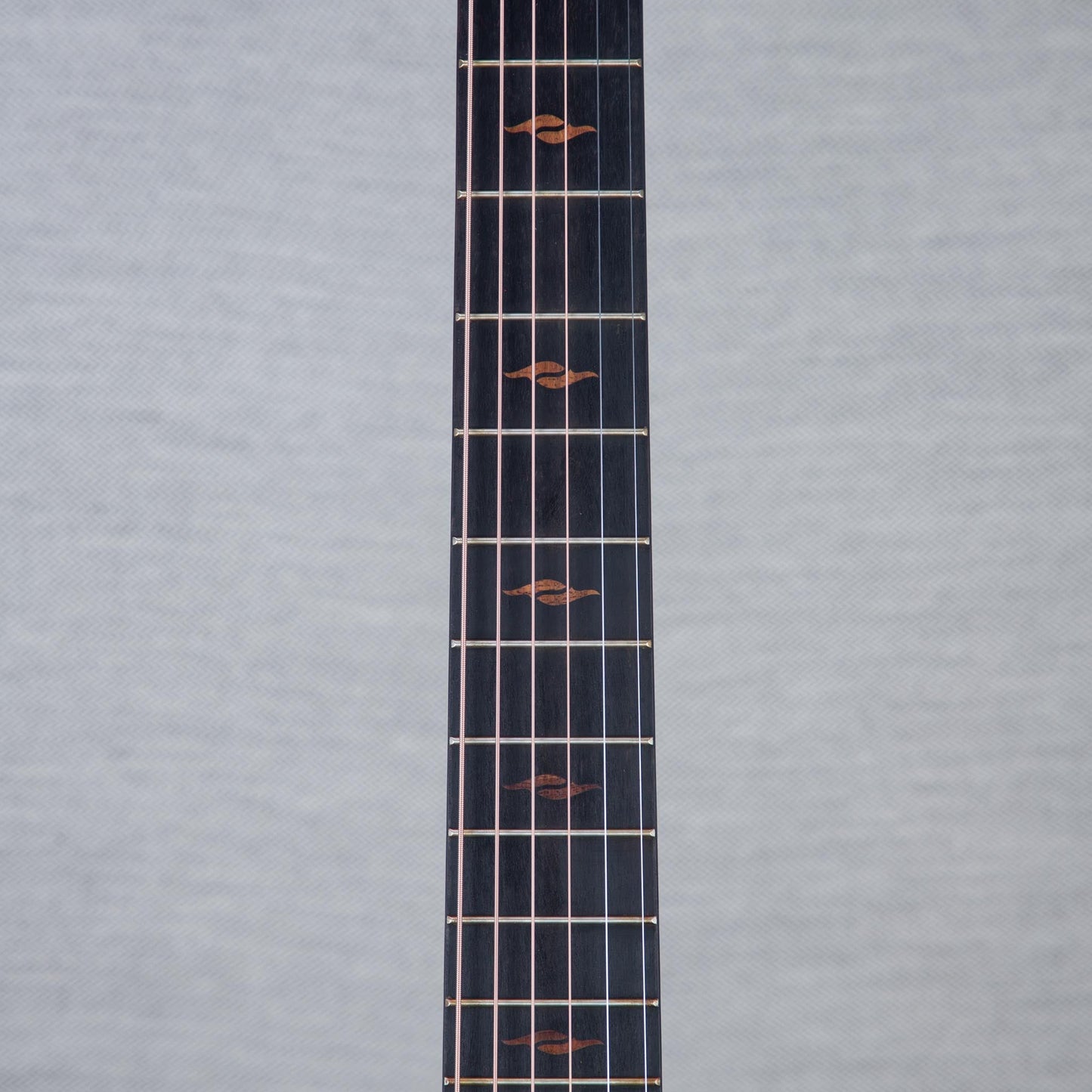 Taylor Limited Edition C14CE Acoustic Electric Guitar - #1205303120