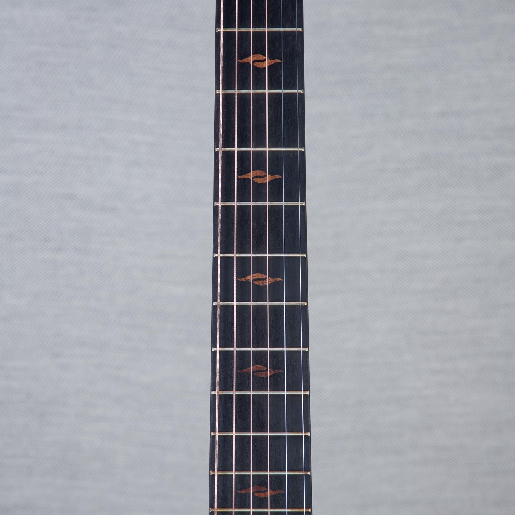 Taylor Limited Edition C14CE Acoustic Electric Guitar - #1205303120