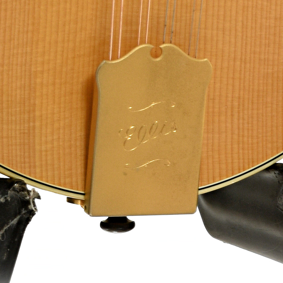 Ellis A-5 Special Mandolin (2014)