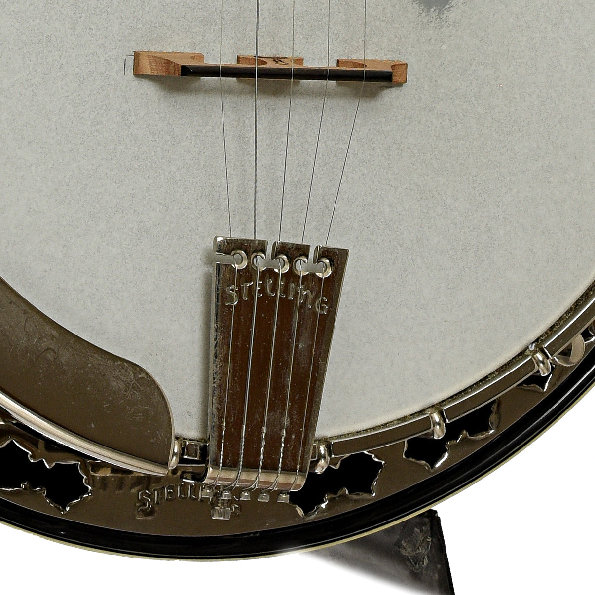 Stelling Sunflower Resonator Banjo (2012)