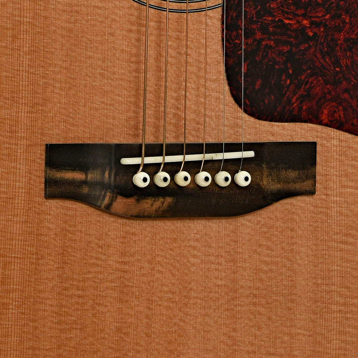 Gallagher Guitar Co. Jumbo 70 Acoustic Guitar (2022)