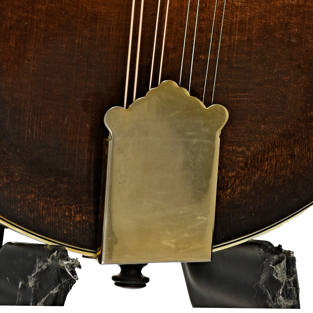 Newson F-5 Fern Mandolin (1982)