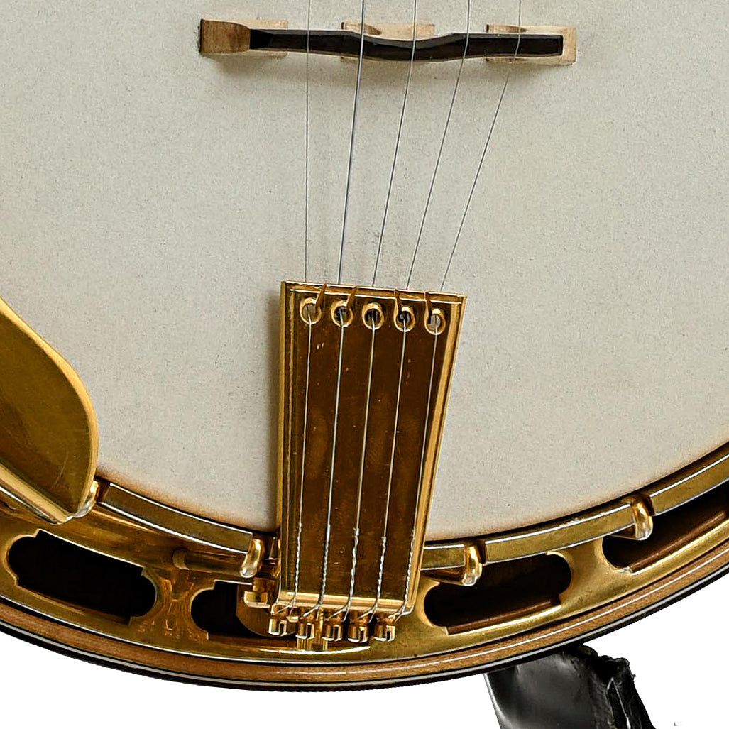 Michael Terris Art Deco Resonator Banjo (2010s)