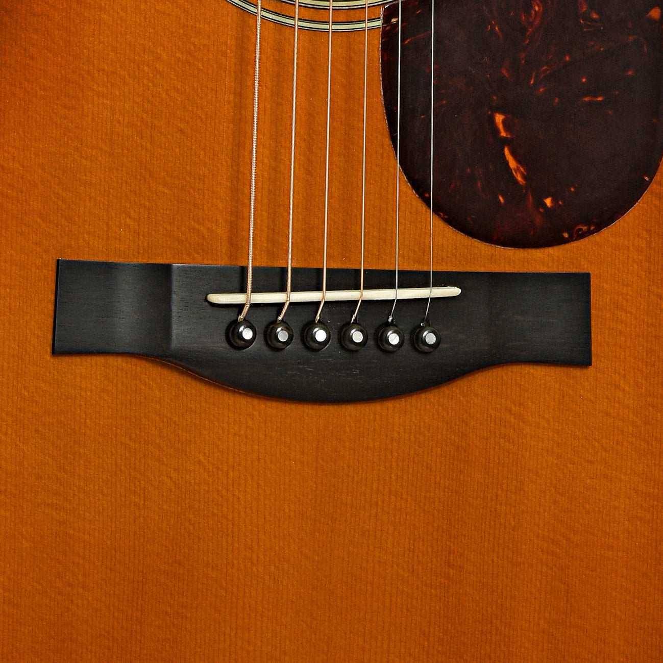 Santa Cruz H Acoustic Guitar (2009)