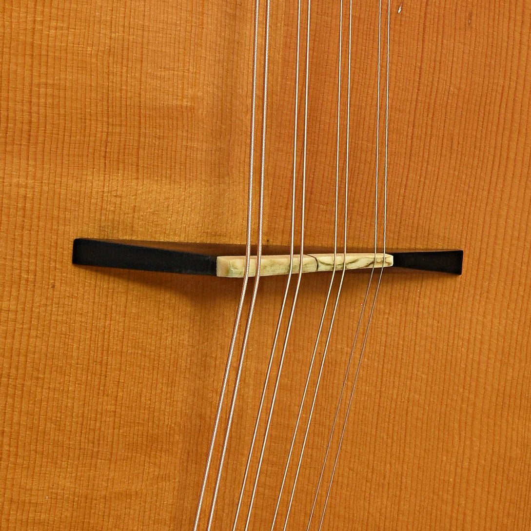 Stefan Sobell 8 String Citern (1980s)
