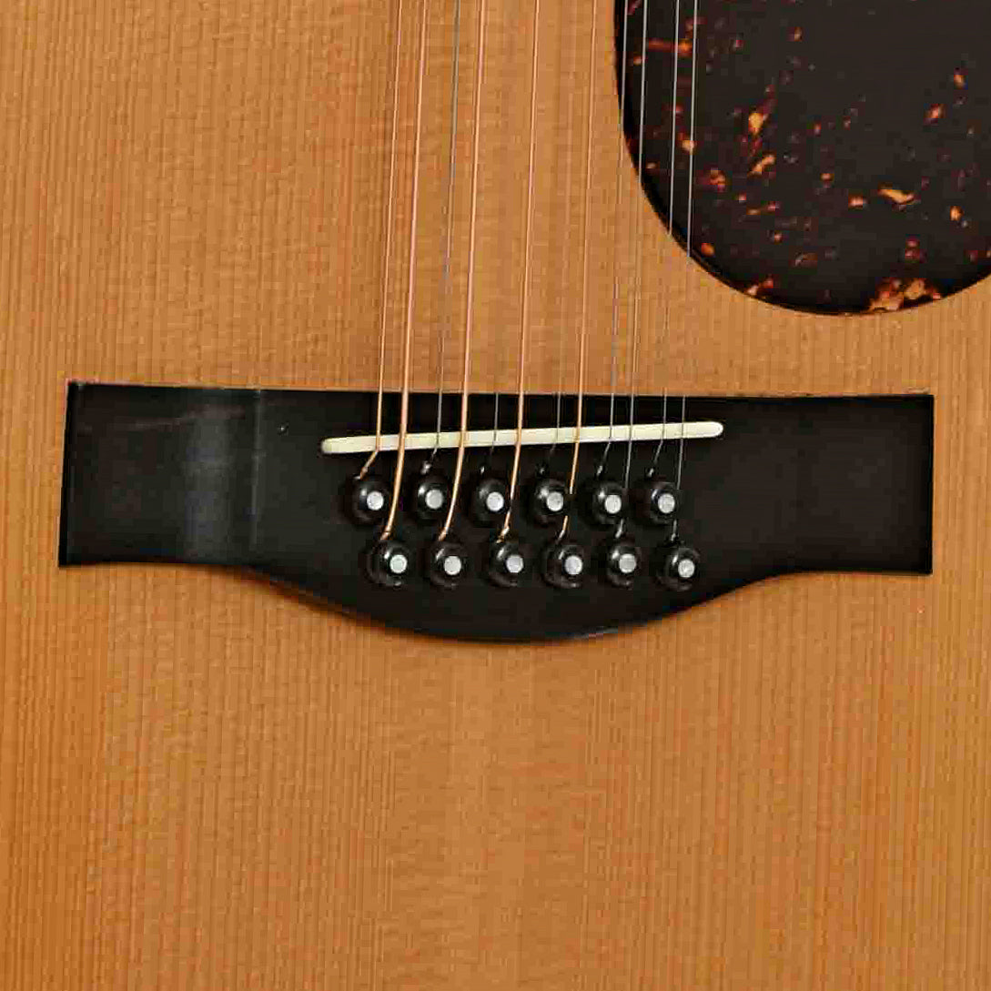 Santa Cruz Brazilian F Custom 12-String Acoustic Guitar (1998)