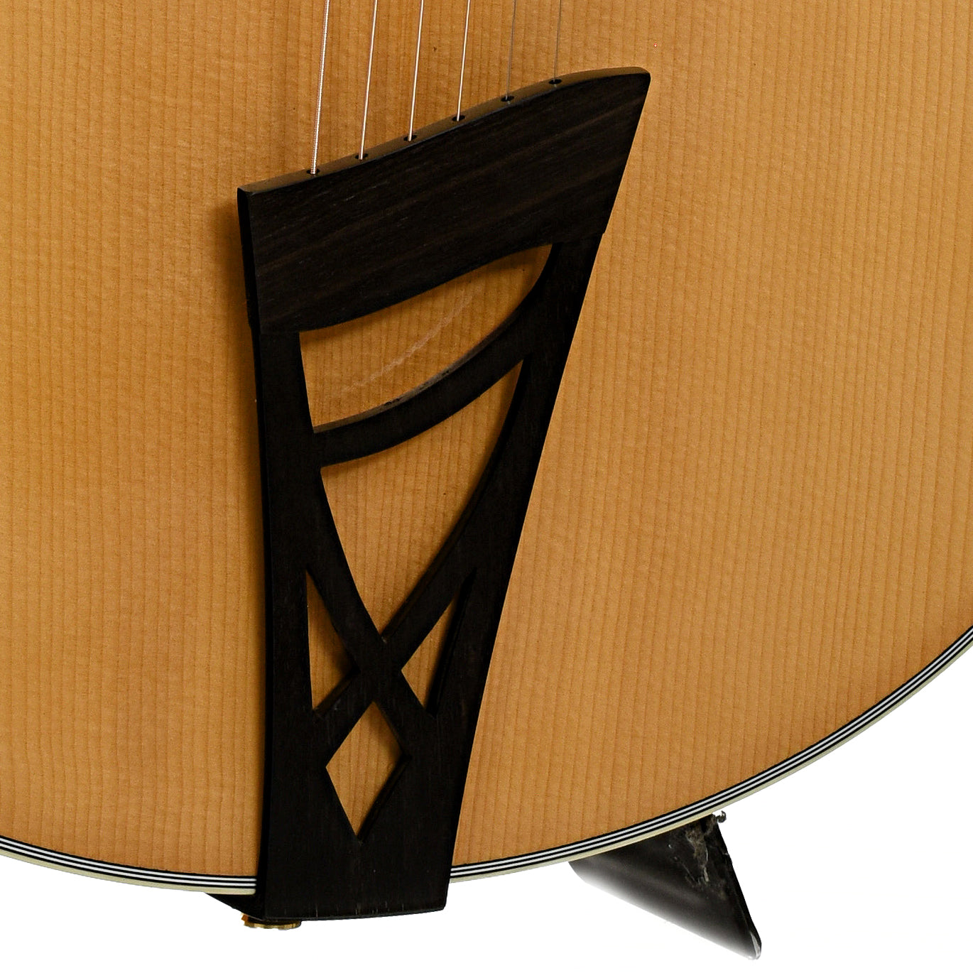 Andersen Emerald City Hollowbody Archtop Acoustic Guitar (1994)