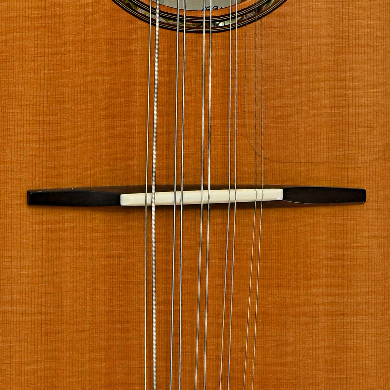 Grit Laskin 10-String Tenor Mandolin (1991)