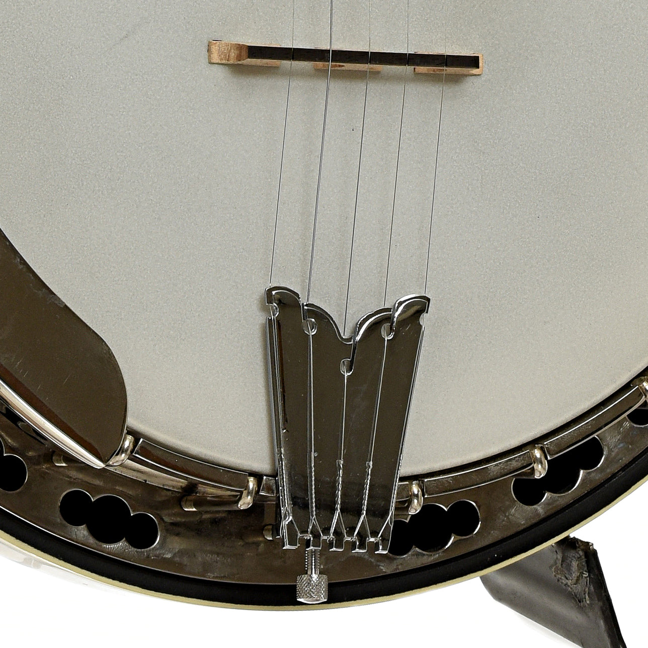Deering Calico Resonator Banjo (1999)
