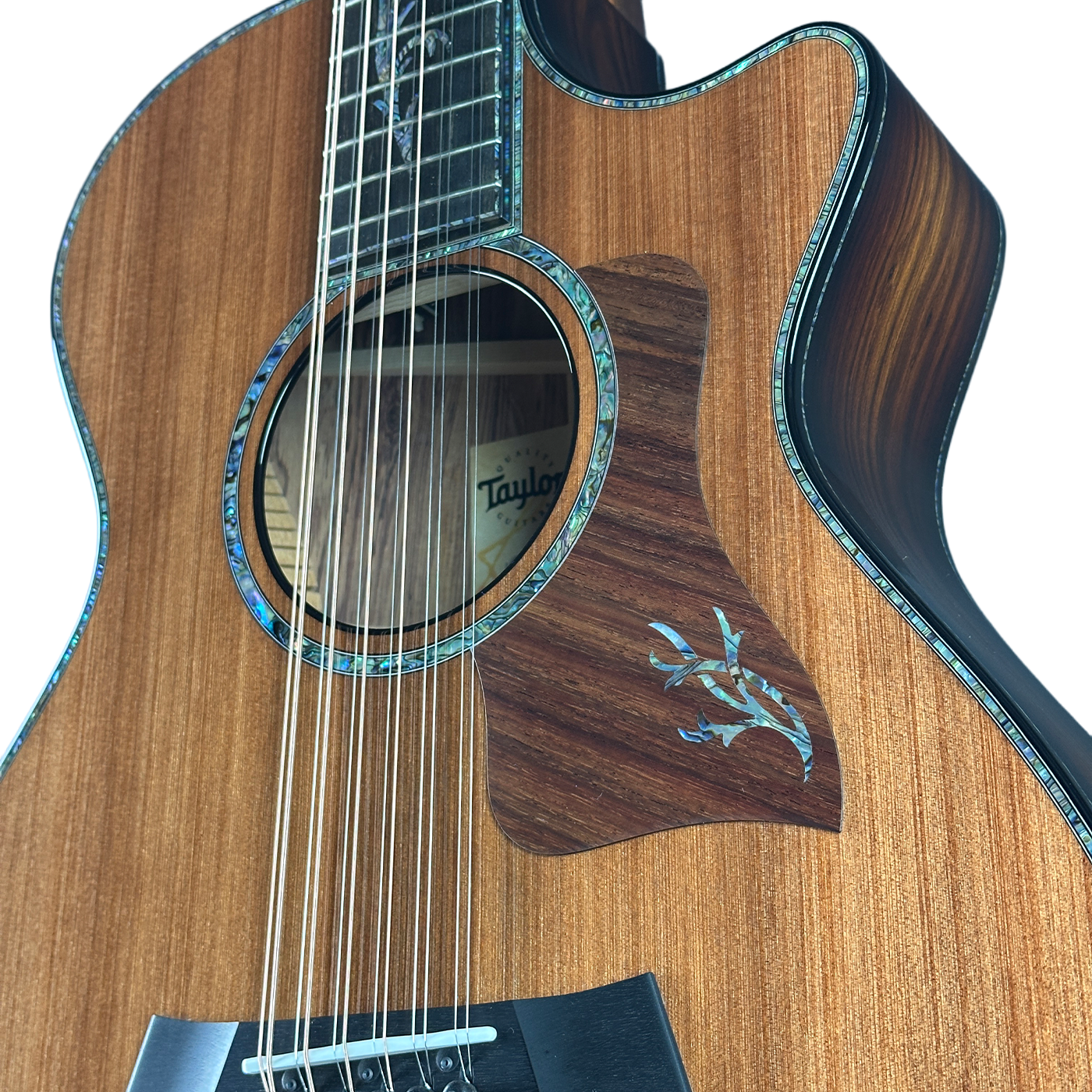 Taylor Presentation Series PS52ce 12-string Acoustic-electric