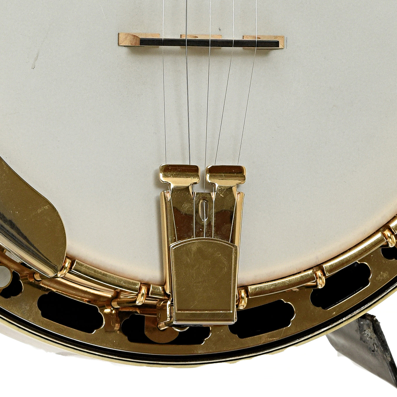 Grundy Flintriver "Blue Heeler" Custom Resonator Banjo (2010)