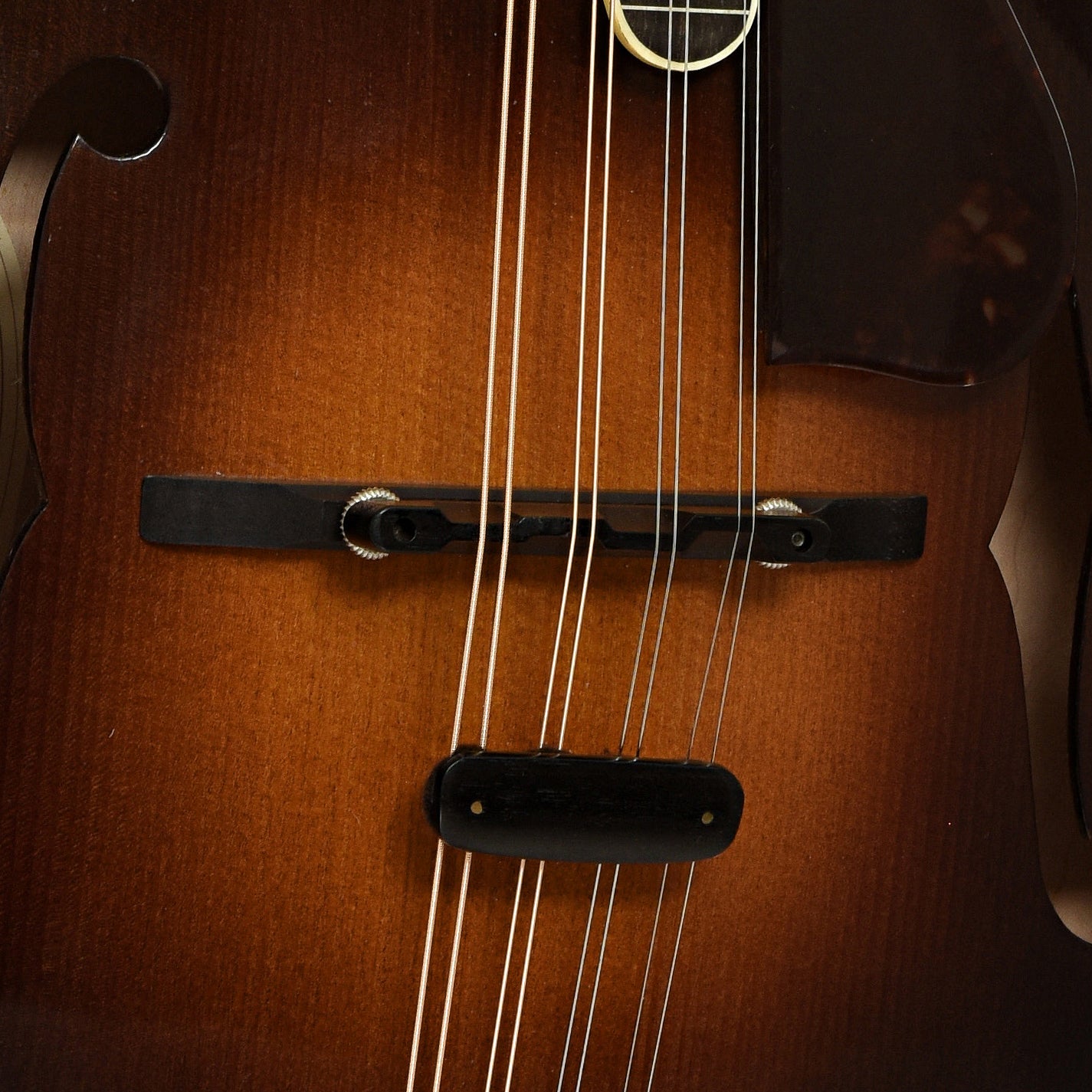 Dudenbostel F-5 Mandolin (2015)