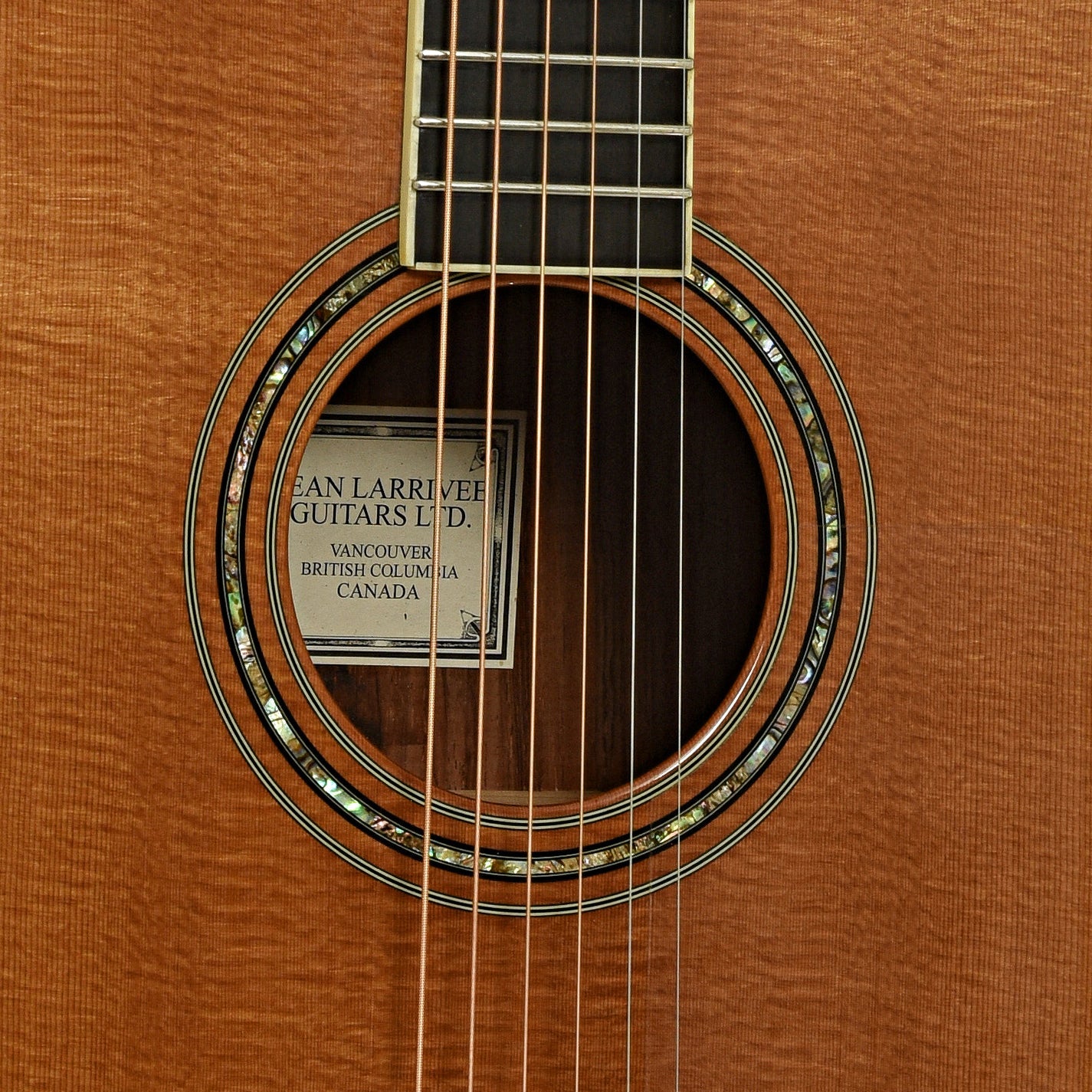 Larrivee D-09 Brazilian Acoustic Guitar (1998)