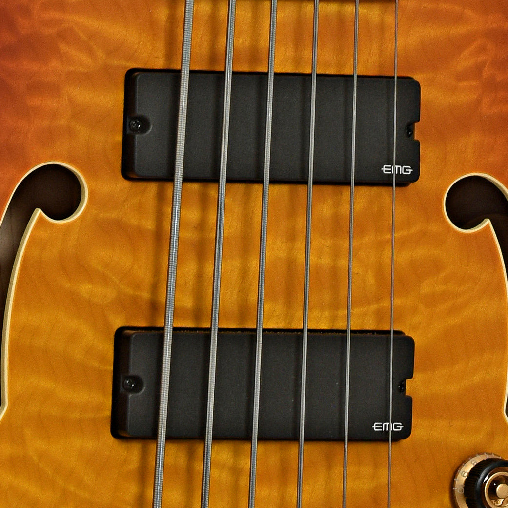Ibanez TCB1006 Stephen "Thundercat" Bruner 6-String Hollowbody Electric Bass (2022)
