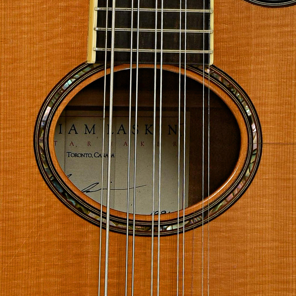 Grit Laskin 10-String Tenor Mandolin (1991)