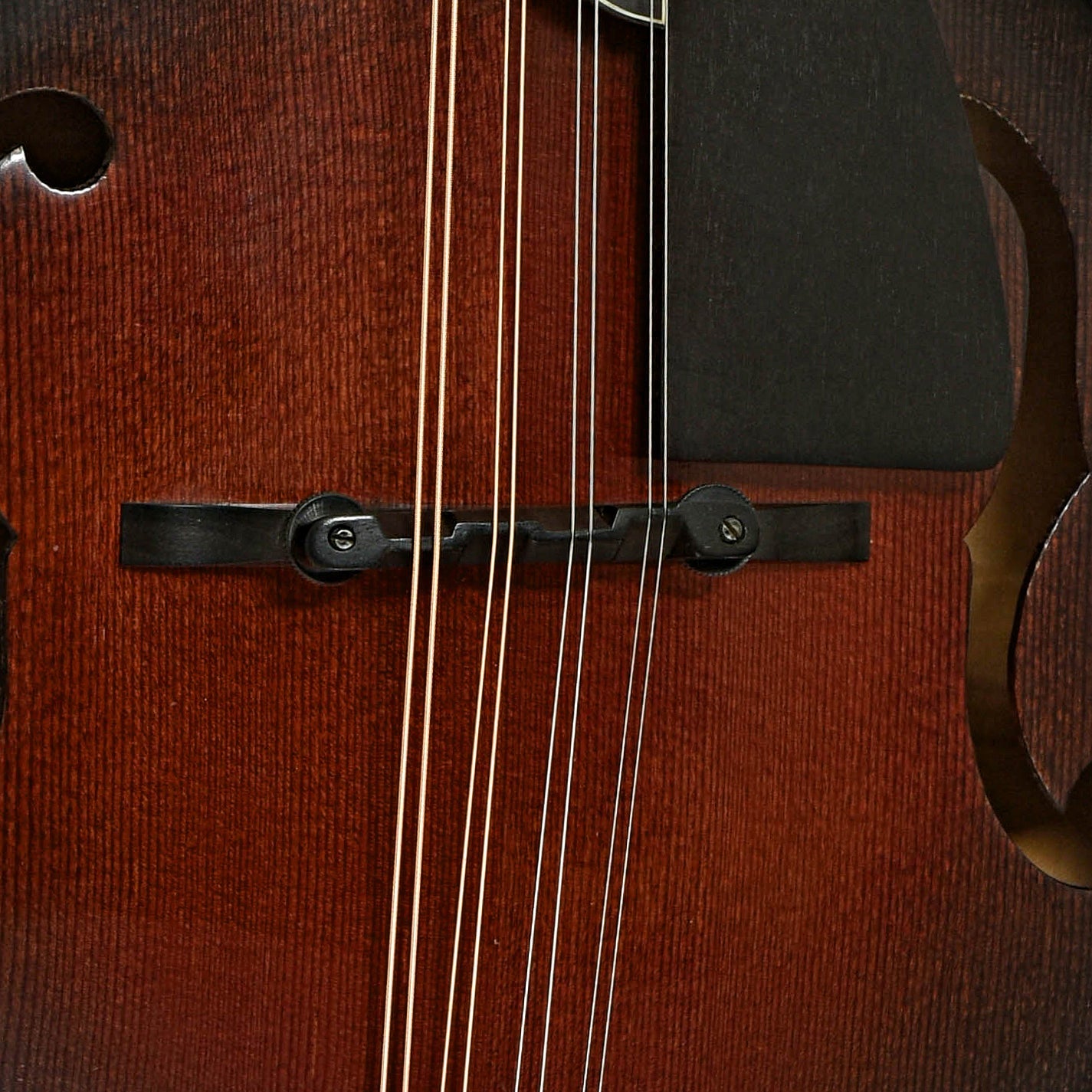 Phoenix Ultra Mandolin (1995)